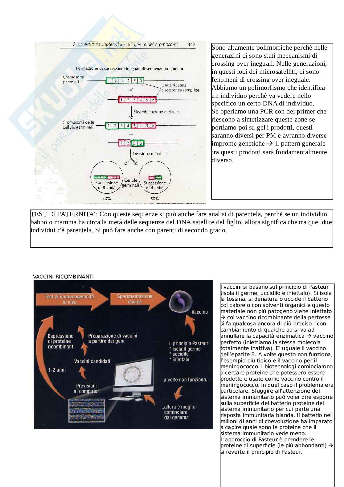Schemi di Biologia molecolare applicata  Pag. 11