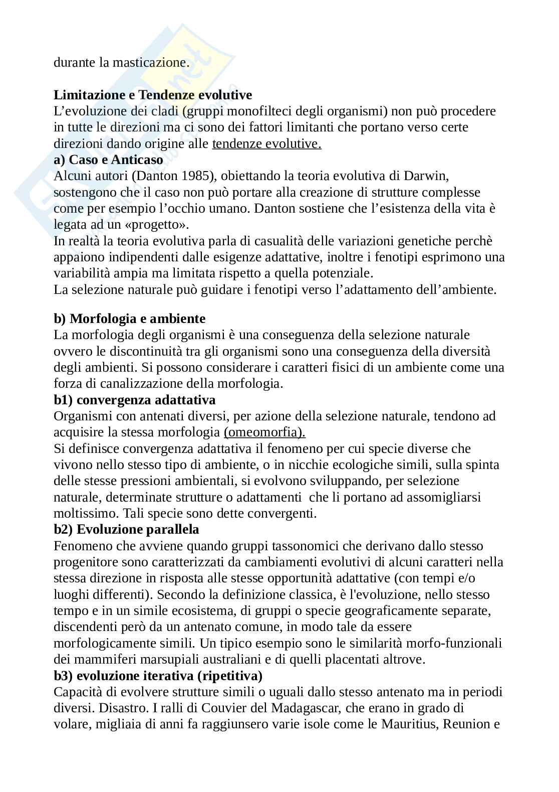 Paleontologia Pag. 21