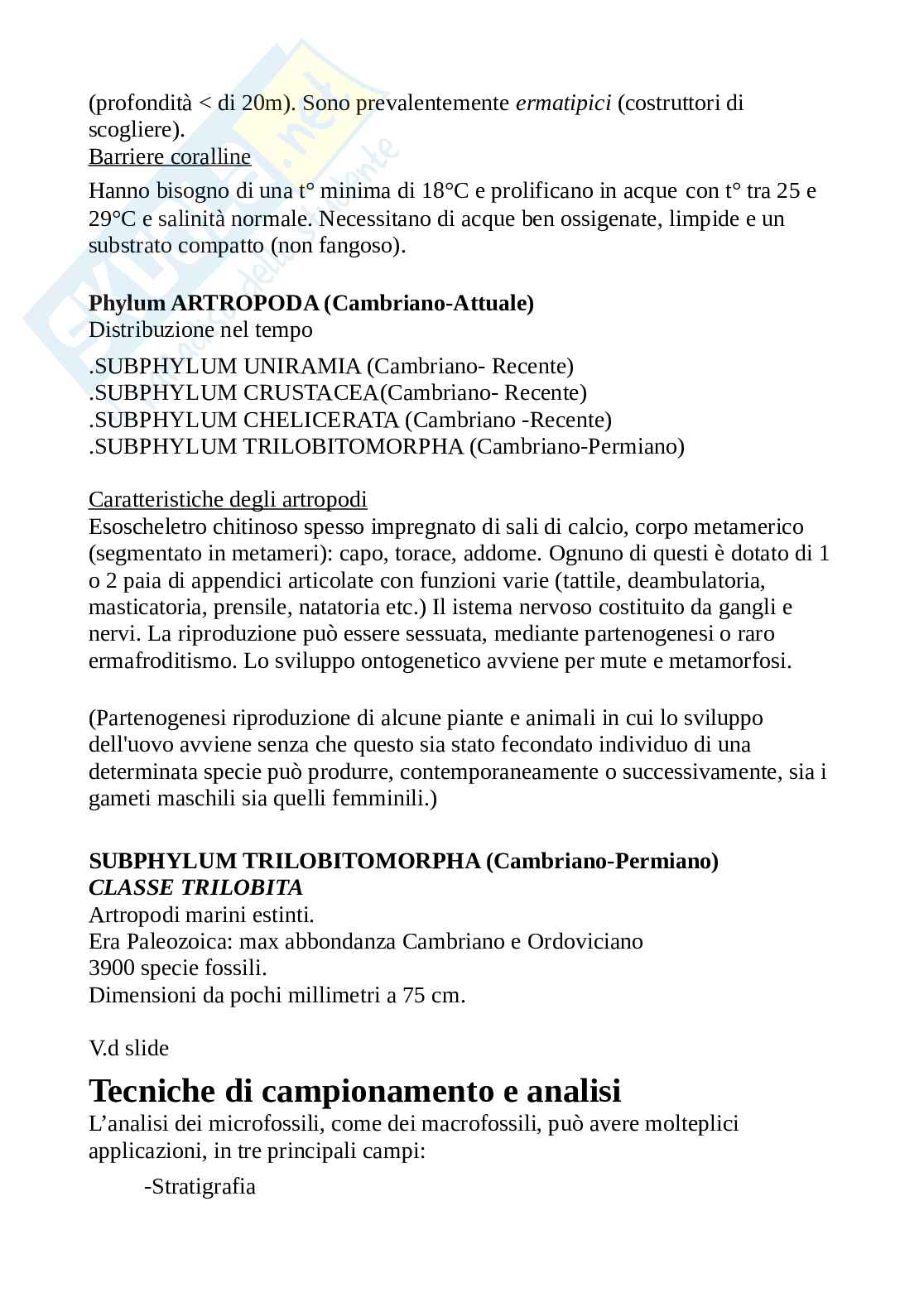 Paleontologia Pag. 76