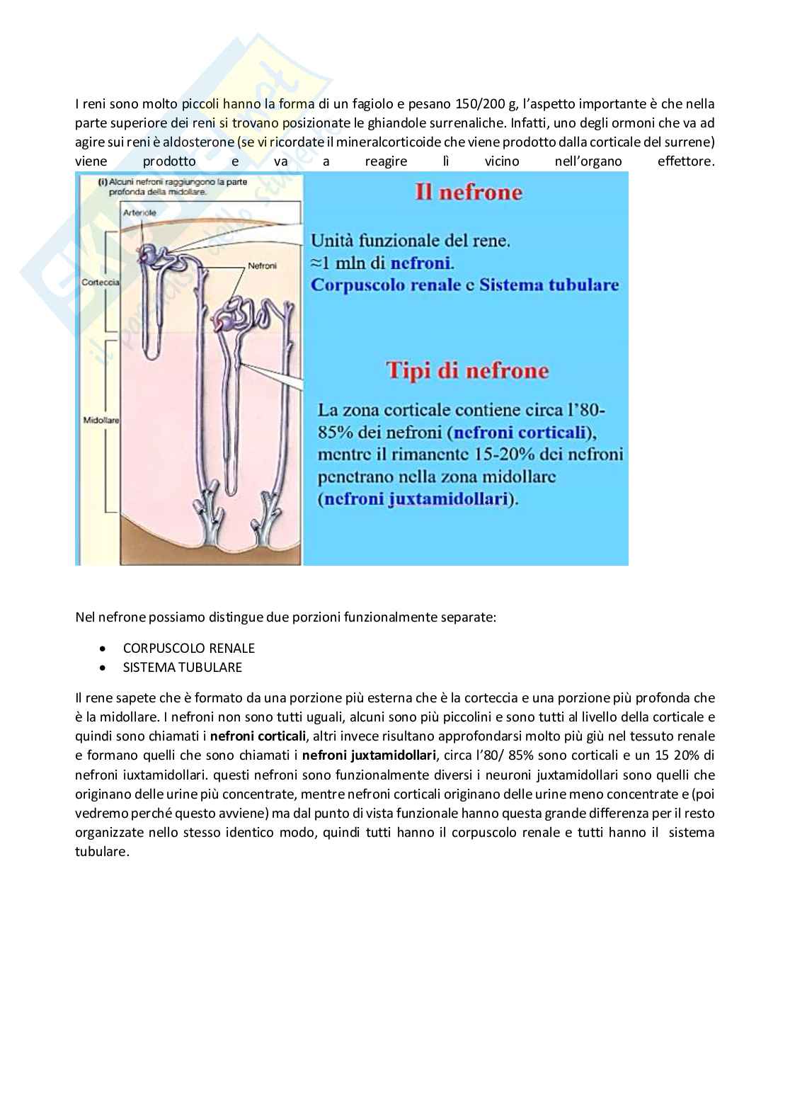 Fisiologia generale - Parte 8 Pag. 11