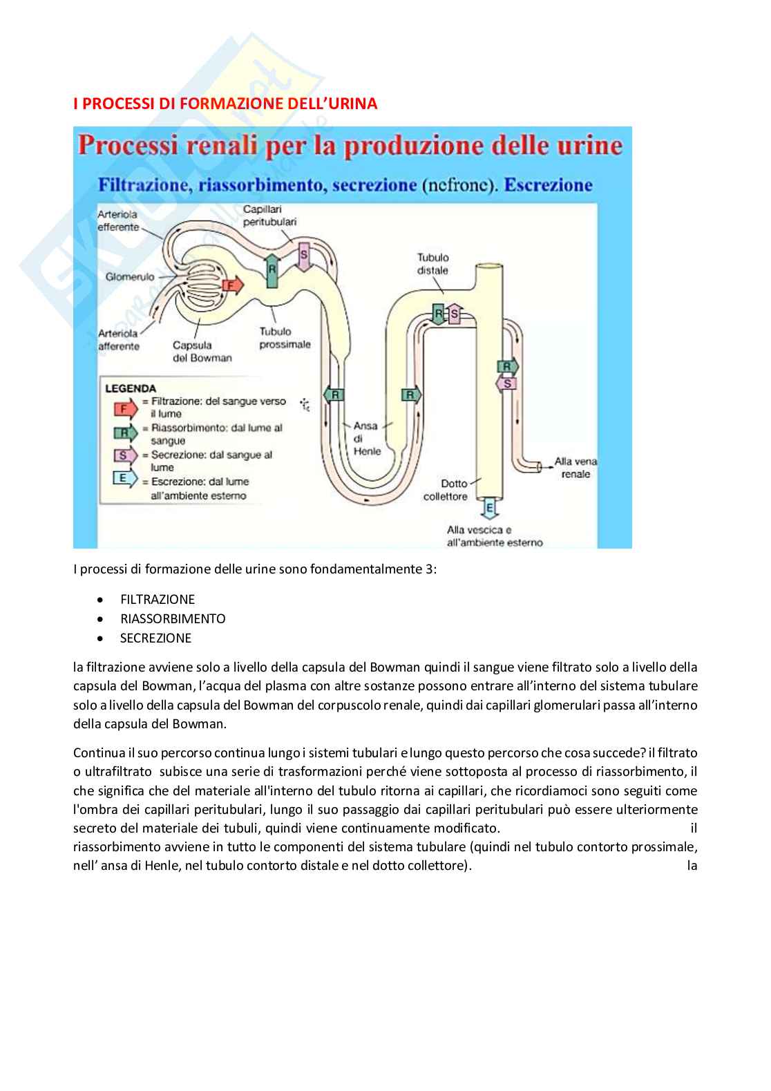 Fisiologia generale - Parte 8 Pag. 16