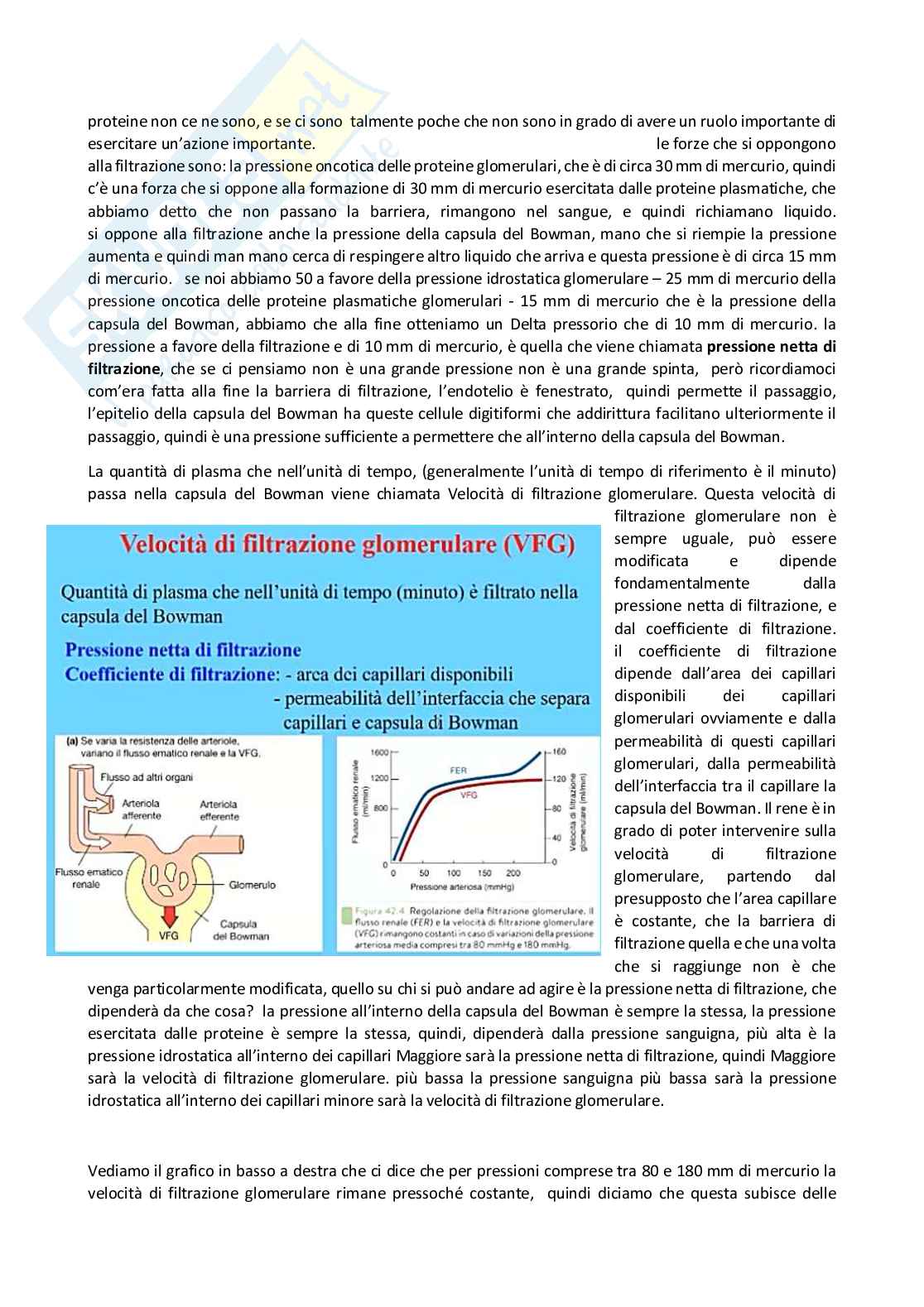 Fisiologia generale - Parte 8 Pag. 21