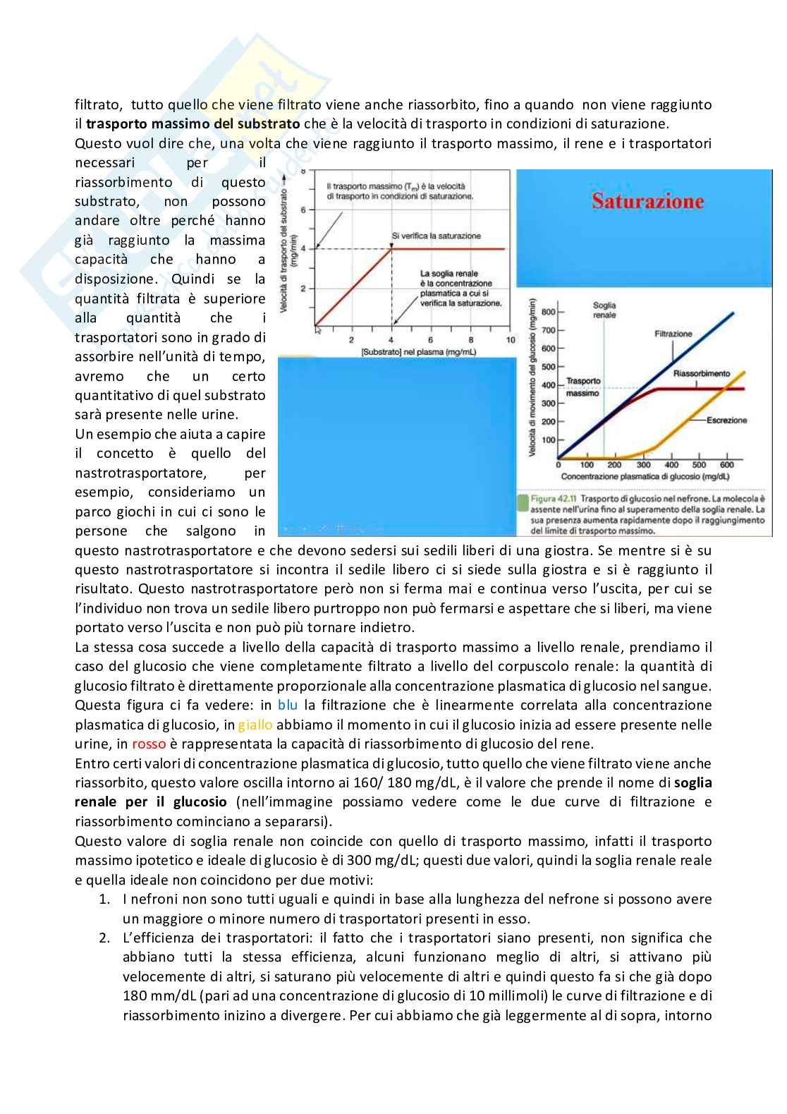 Fisiologia generale - Parte 8 Pag. 36