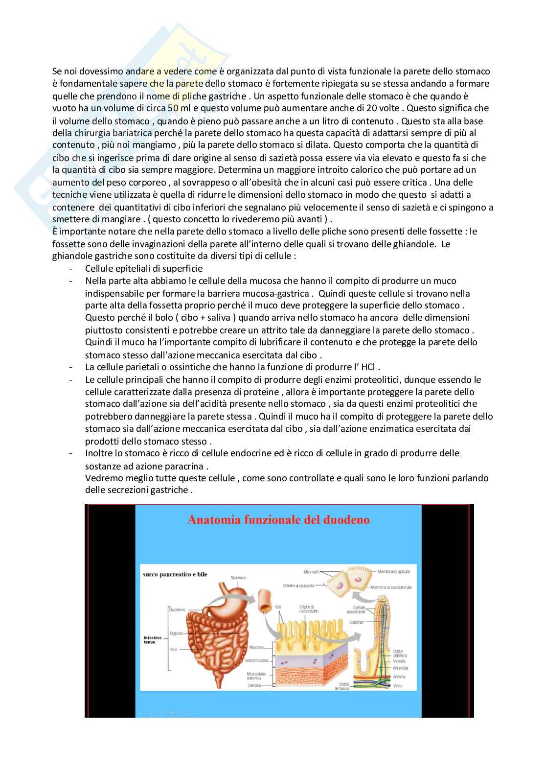 Fisiologia generale - Parte 8 Pag. 61