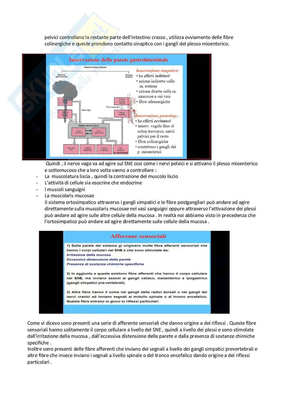 Fisiologia generale - Parte 8 Pag. 66