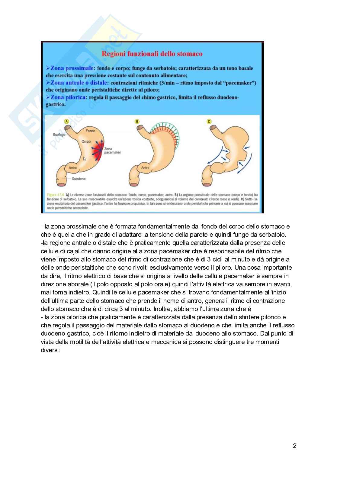 Fisiologia generale - Parte 8 Pag. 76