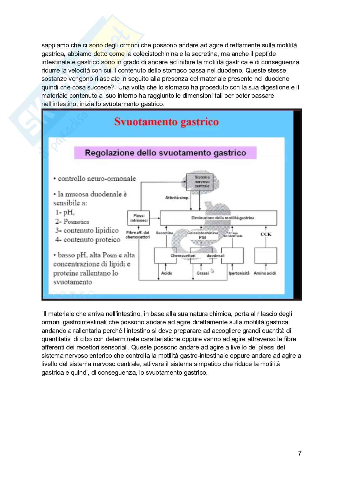 Fisiologia generale - Parte 8 Pag. 81