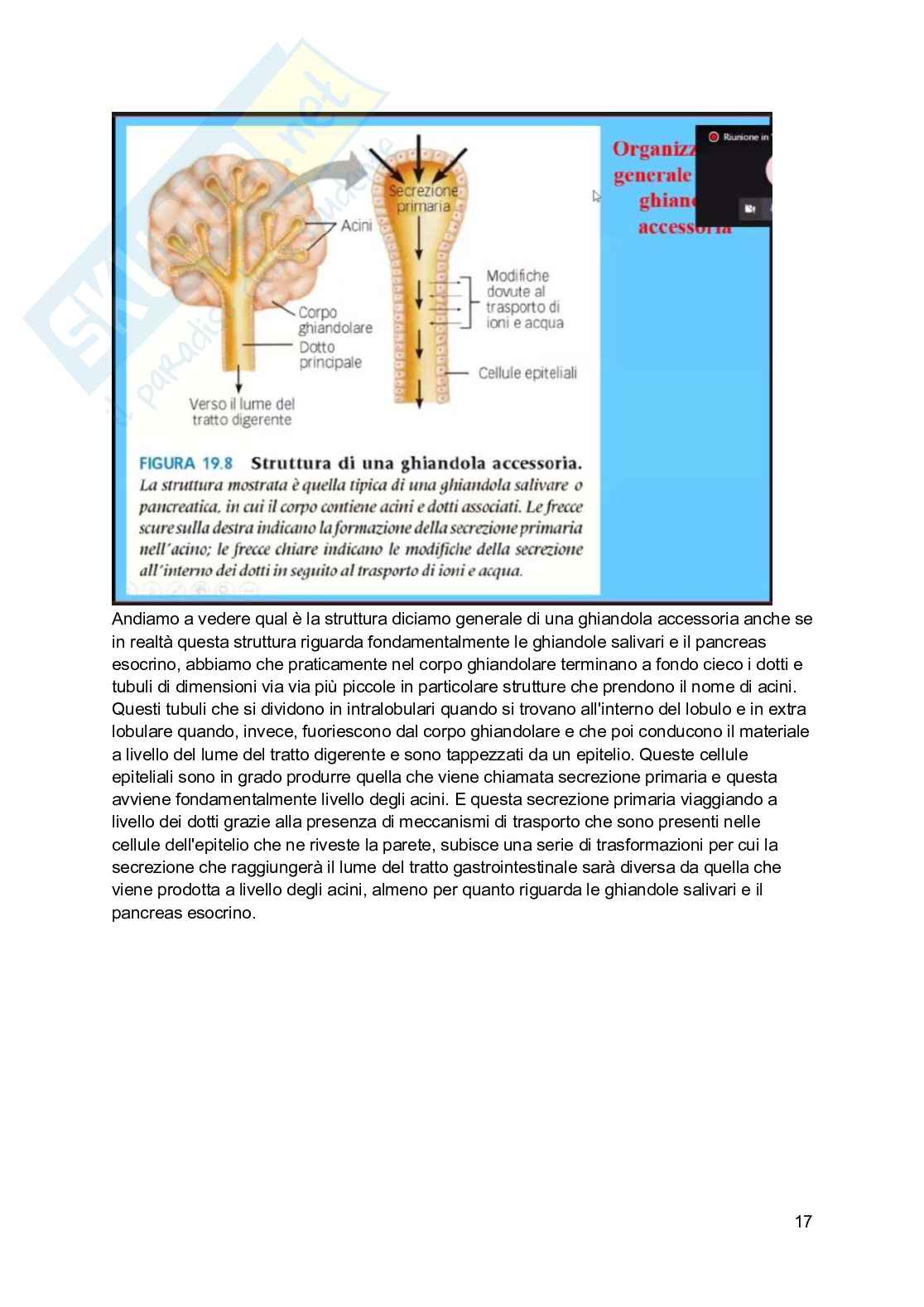 Fisiologia generale - Parte 8 Pag. 91