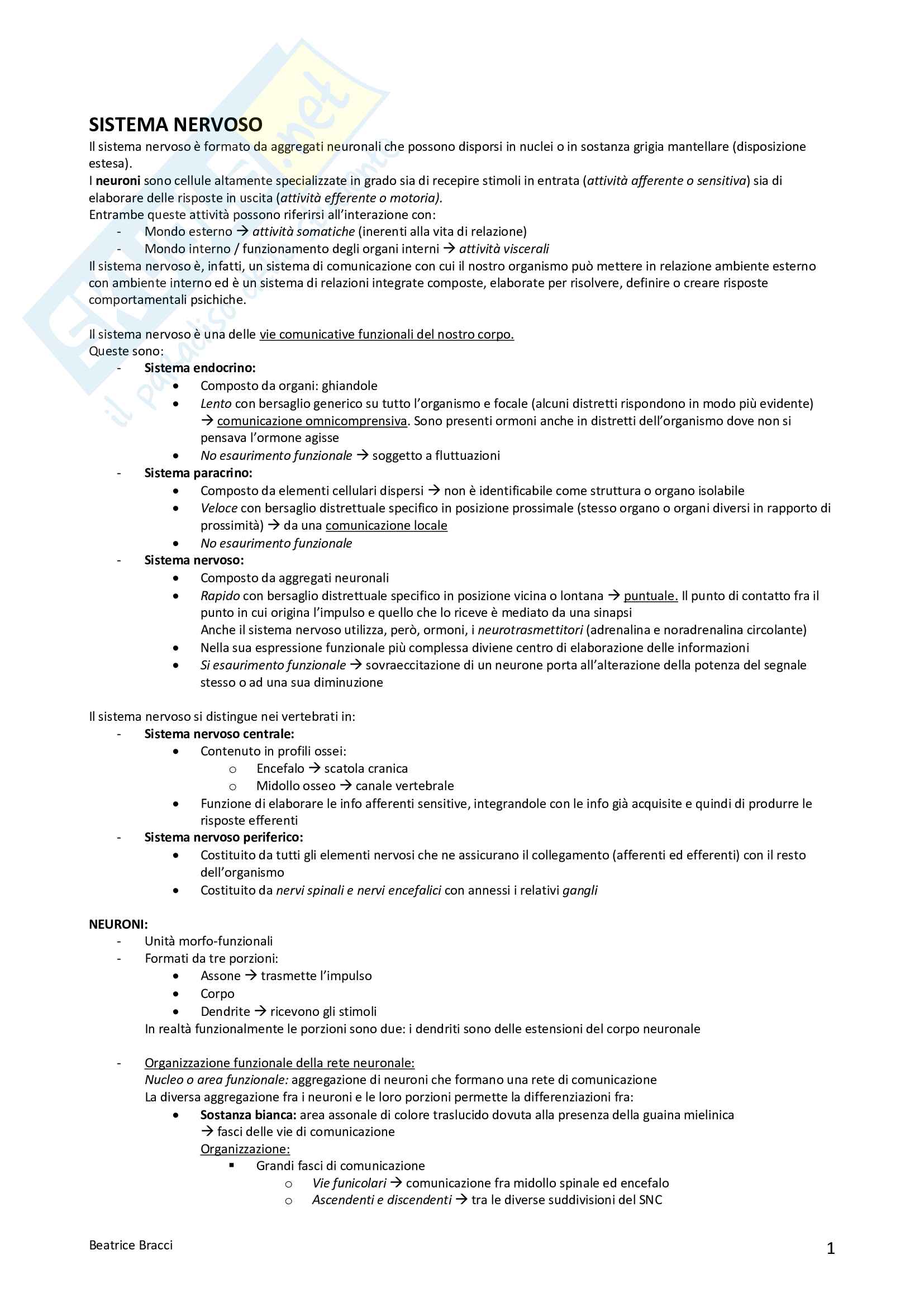 Neuroanatomia Pag. 2