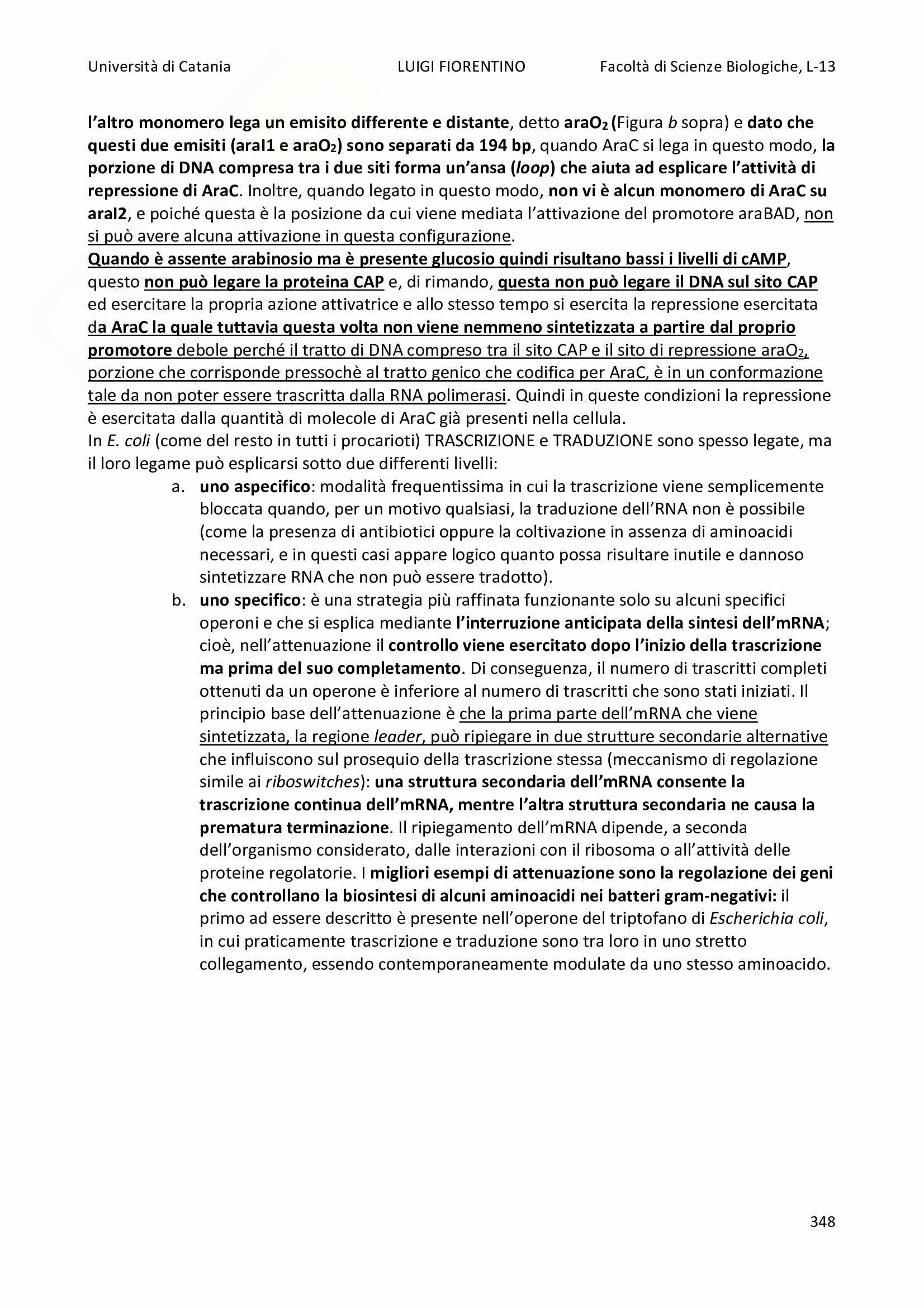 Riassunti di Biologia Molecolare Modulo 3 - Il codice genetico e la Regolazione dell'Espressione Genica Pag. 31