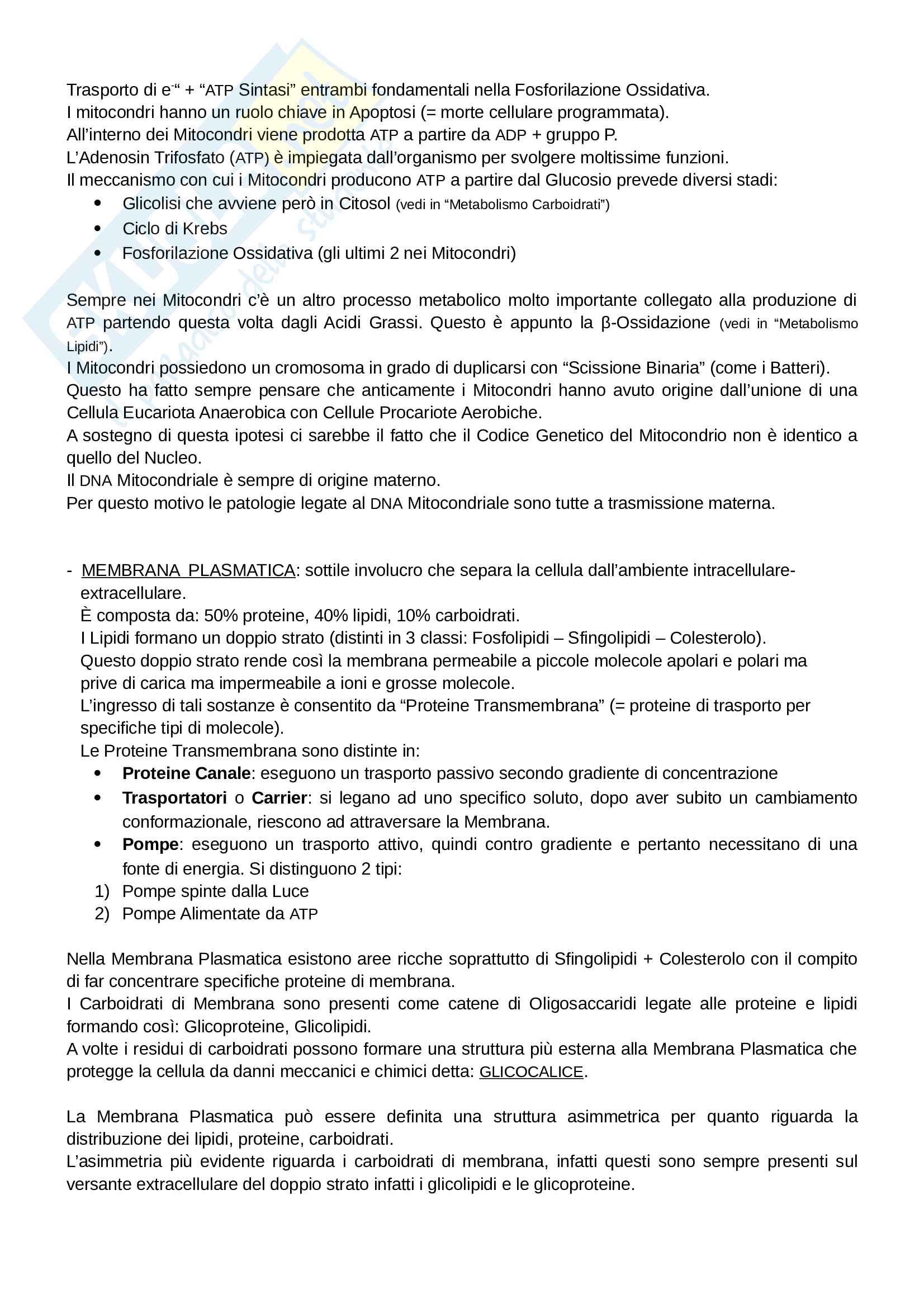 Esame di stato biologia 1° prova Pag. 2