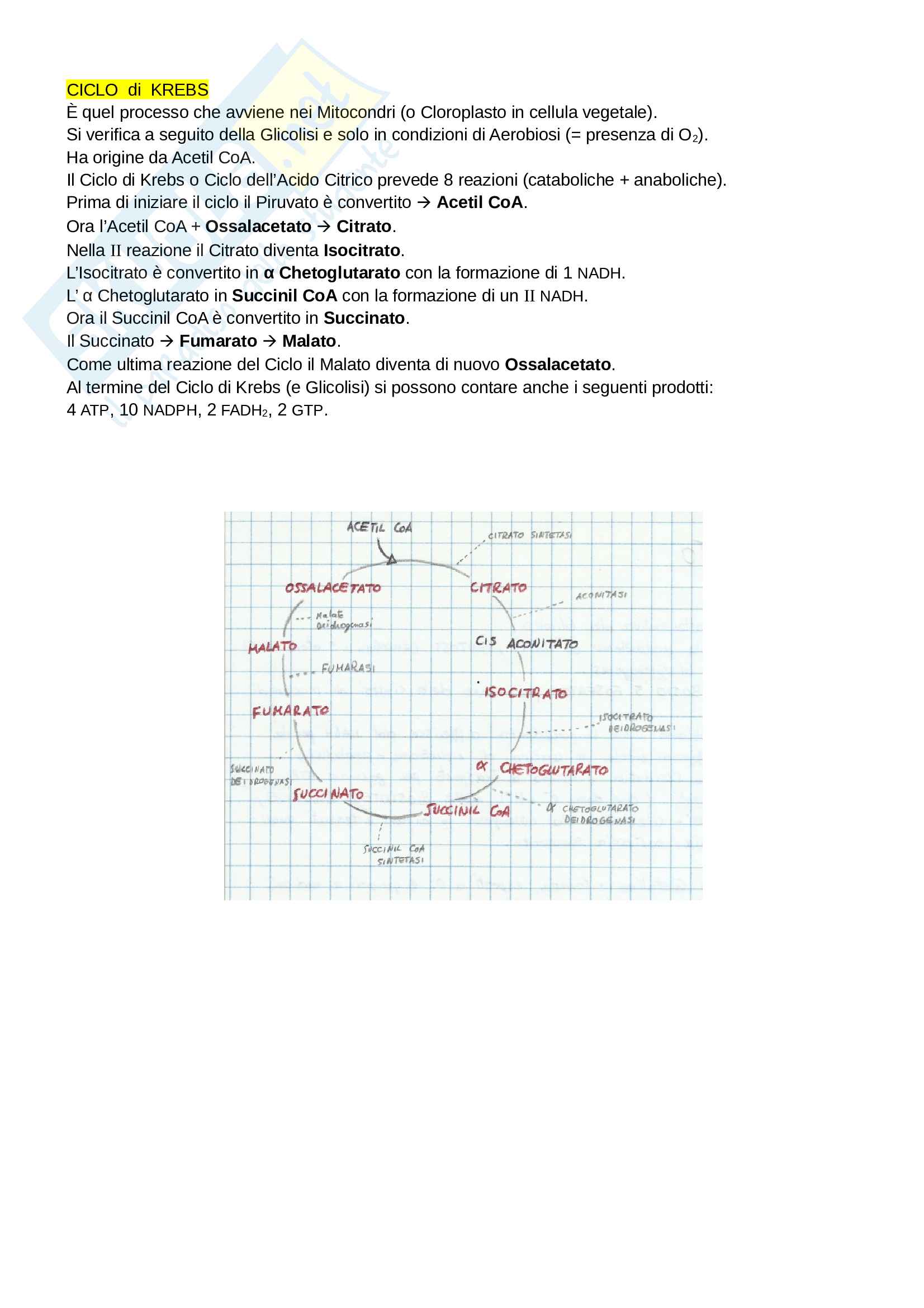 Esame di stato biologia 1° prova Pag. 21
