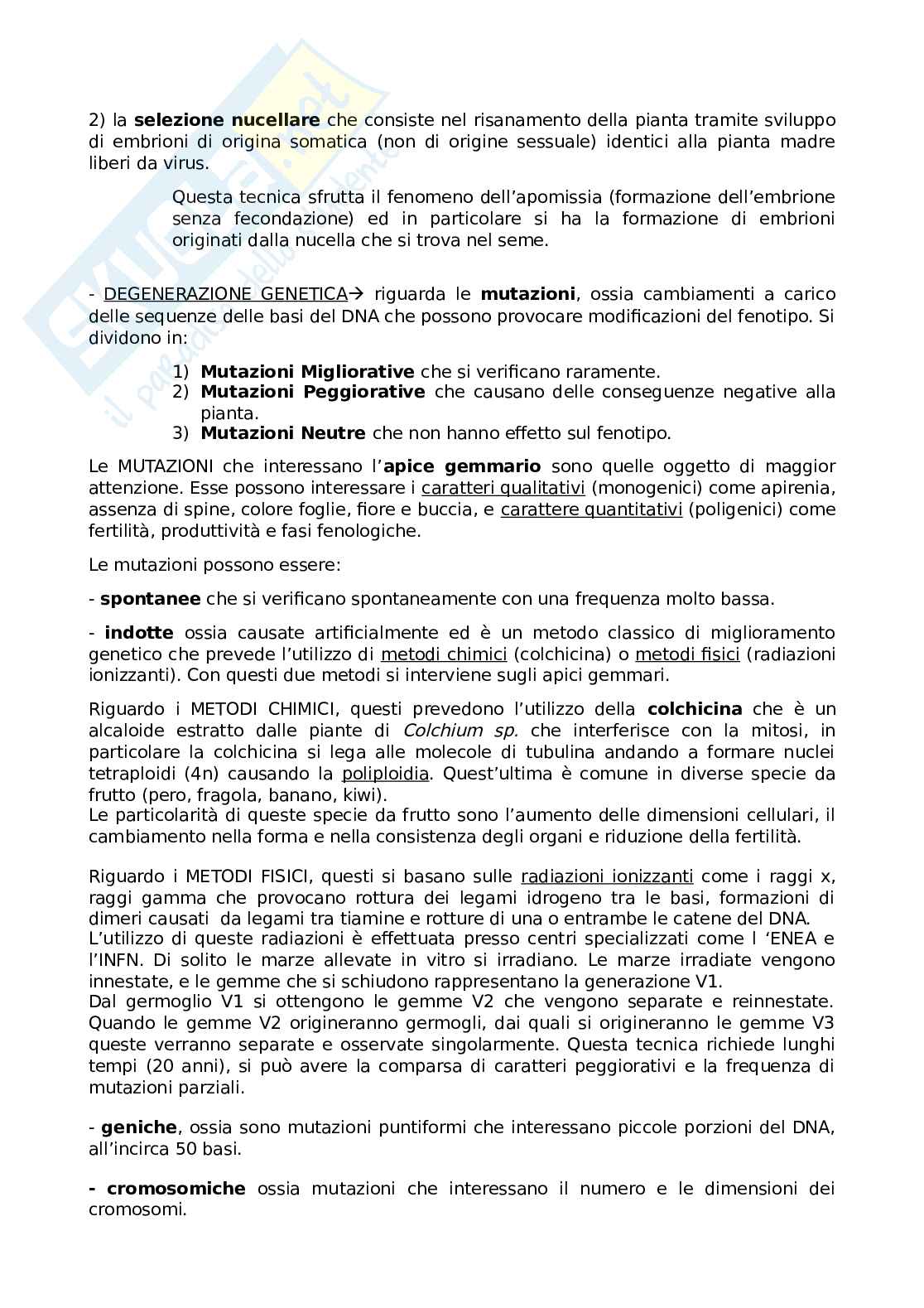 Riassunti Miglioramento genetico Pag. 6
