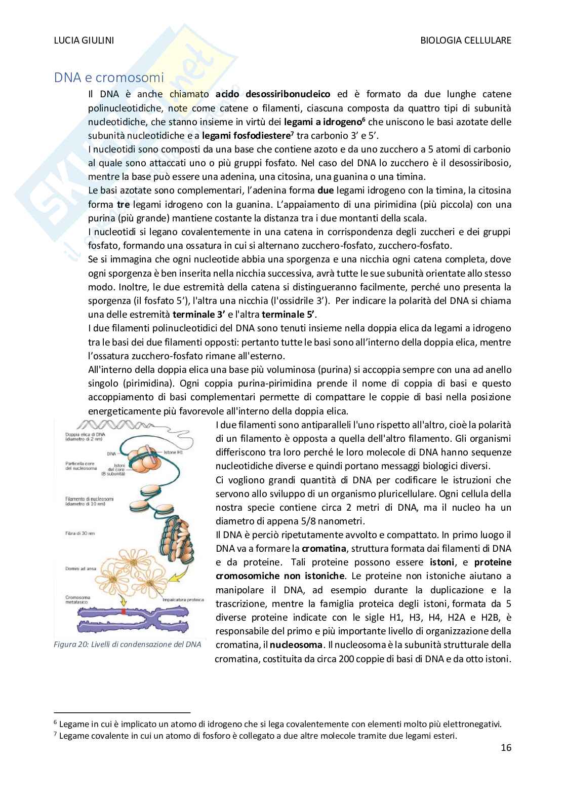 Biologia cellulare Pag. 16