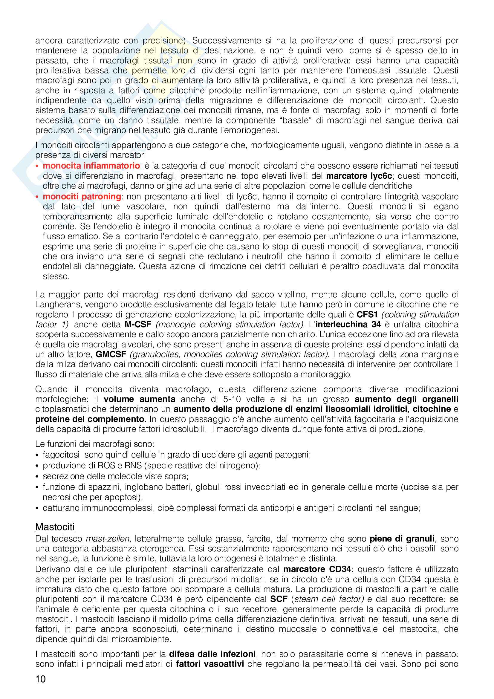 Appunti del corso di Immunologia Pag. 16