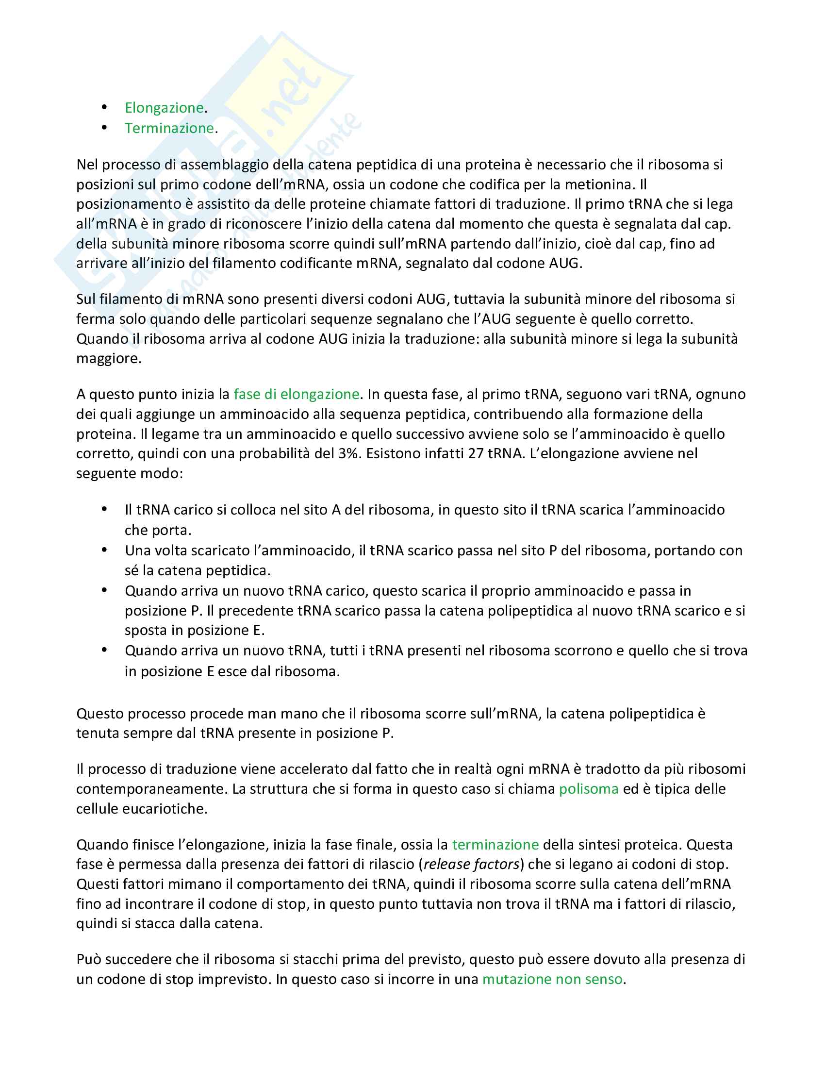 Biologia applicata agli studi medici Pag. 31