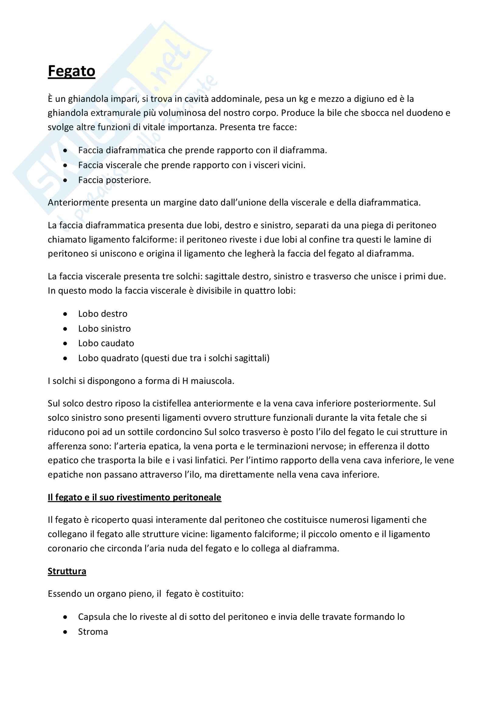 Appunti Ghiandole annesse al canale alimentare - Antomia Pag. 1