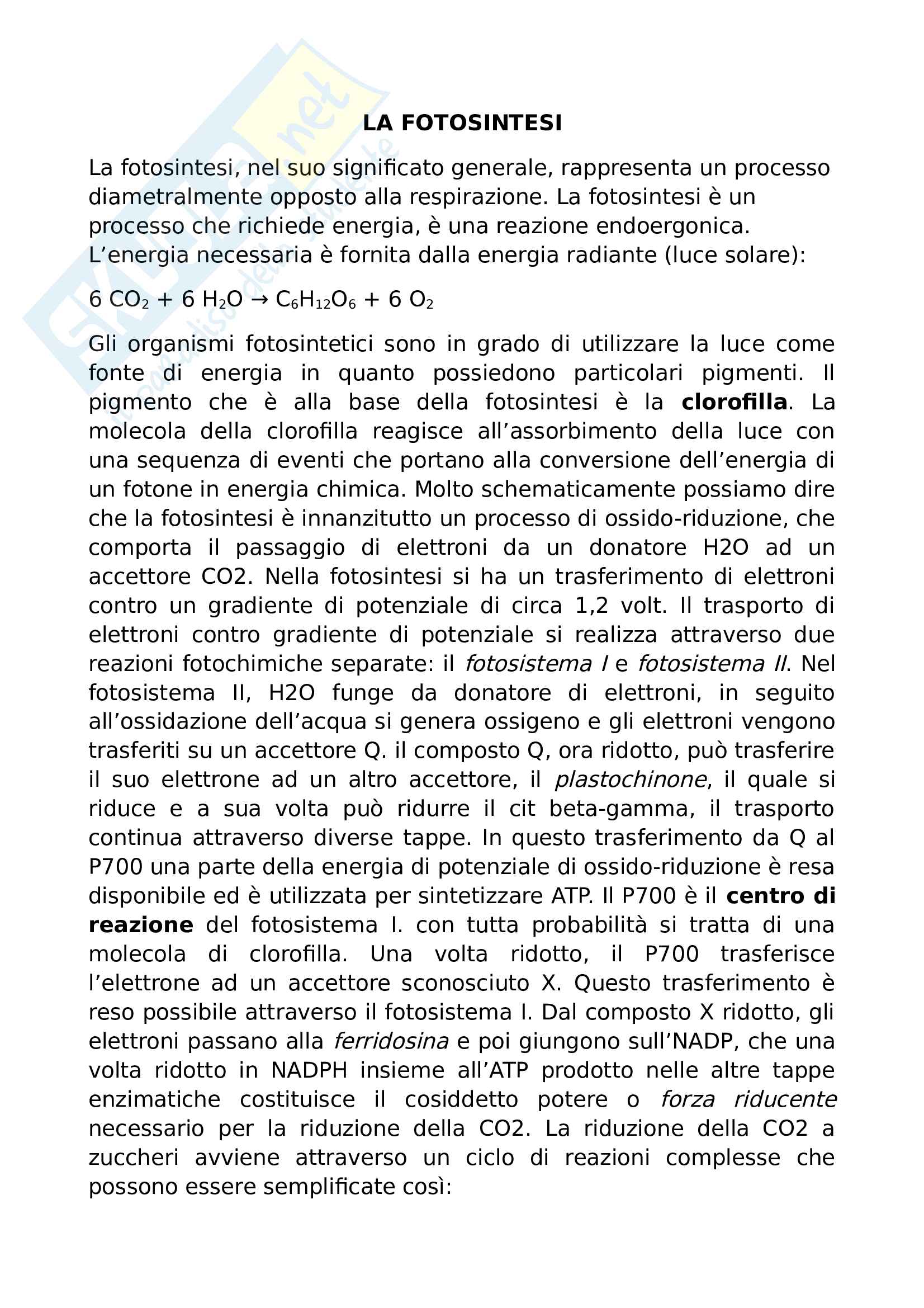 Fotosintesi Pag. 1