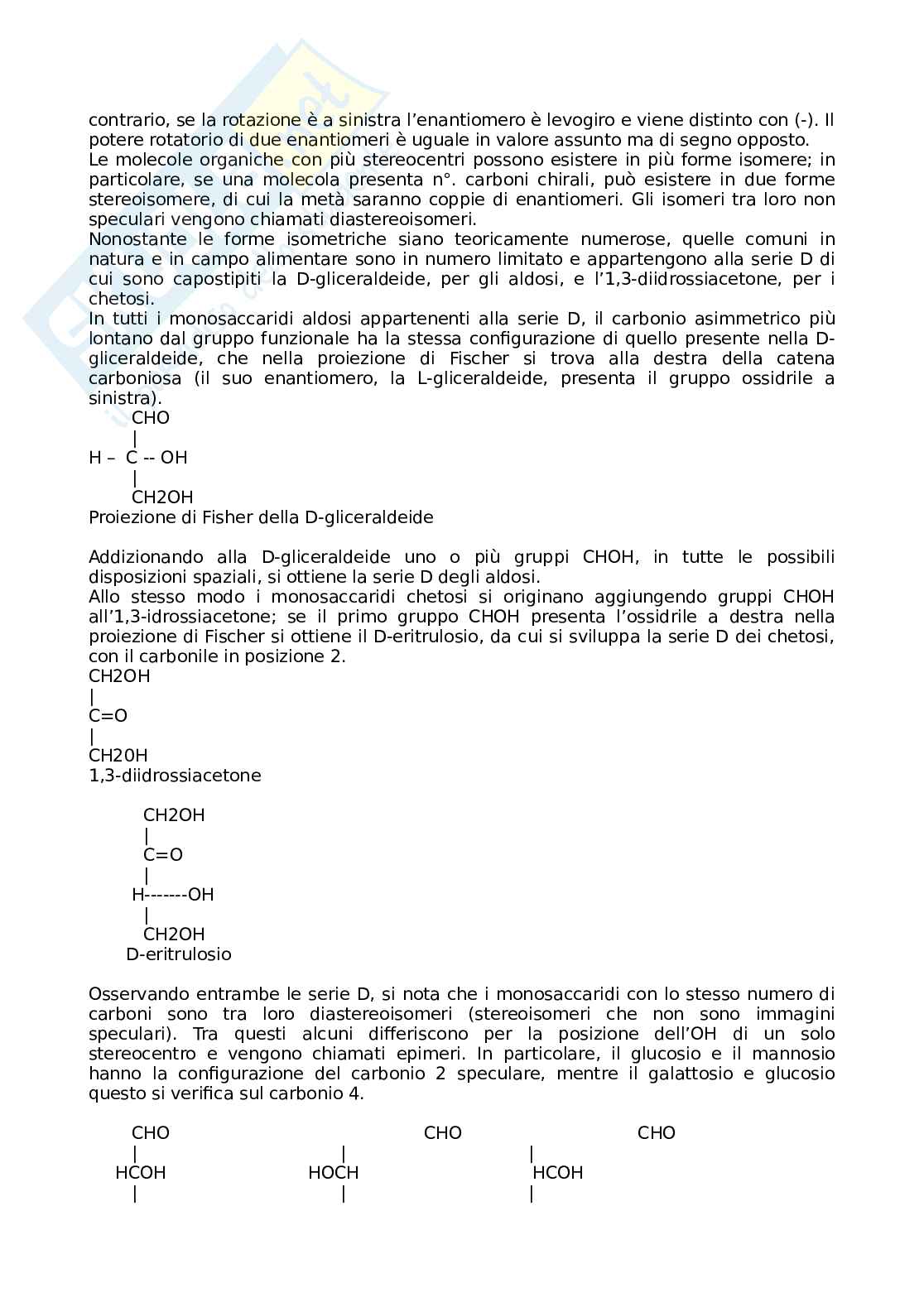 Componenti organici: i glucidi Pag. 2