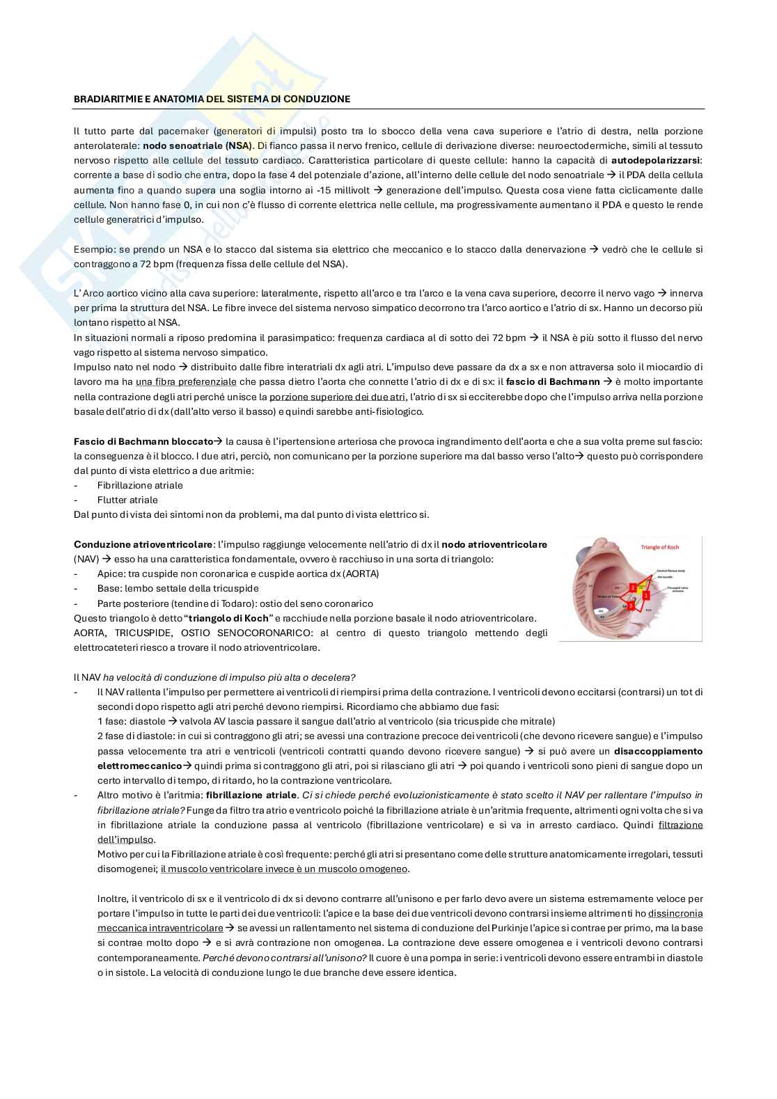 Malattie dell’apparato cardiovascolare Pag. 21