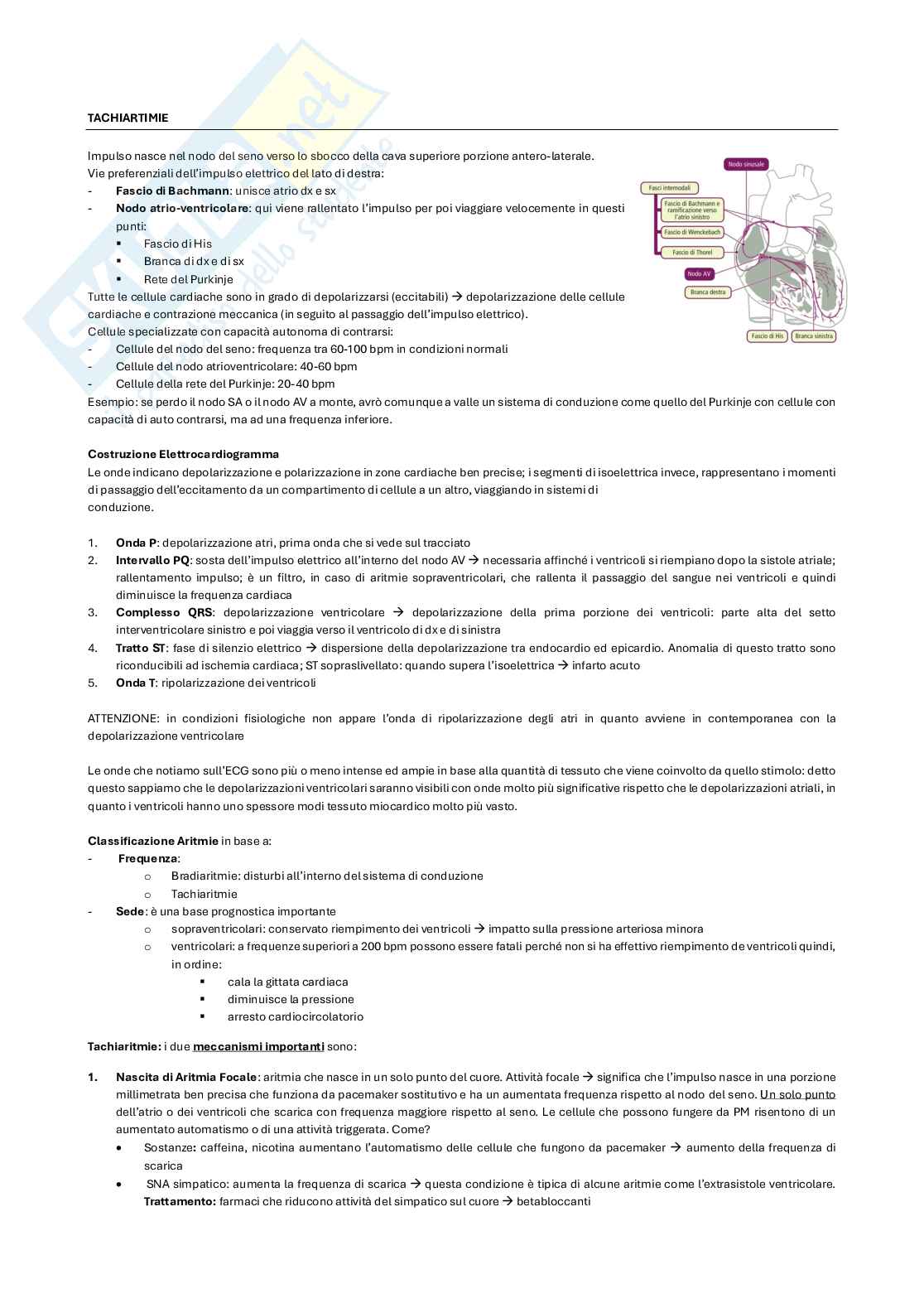 Malattie dell’apparato cardiovascolare Pag. 26