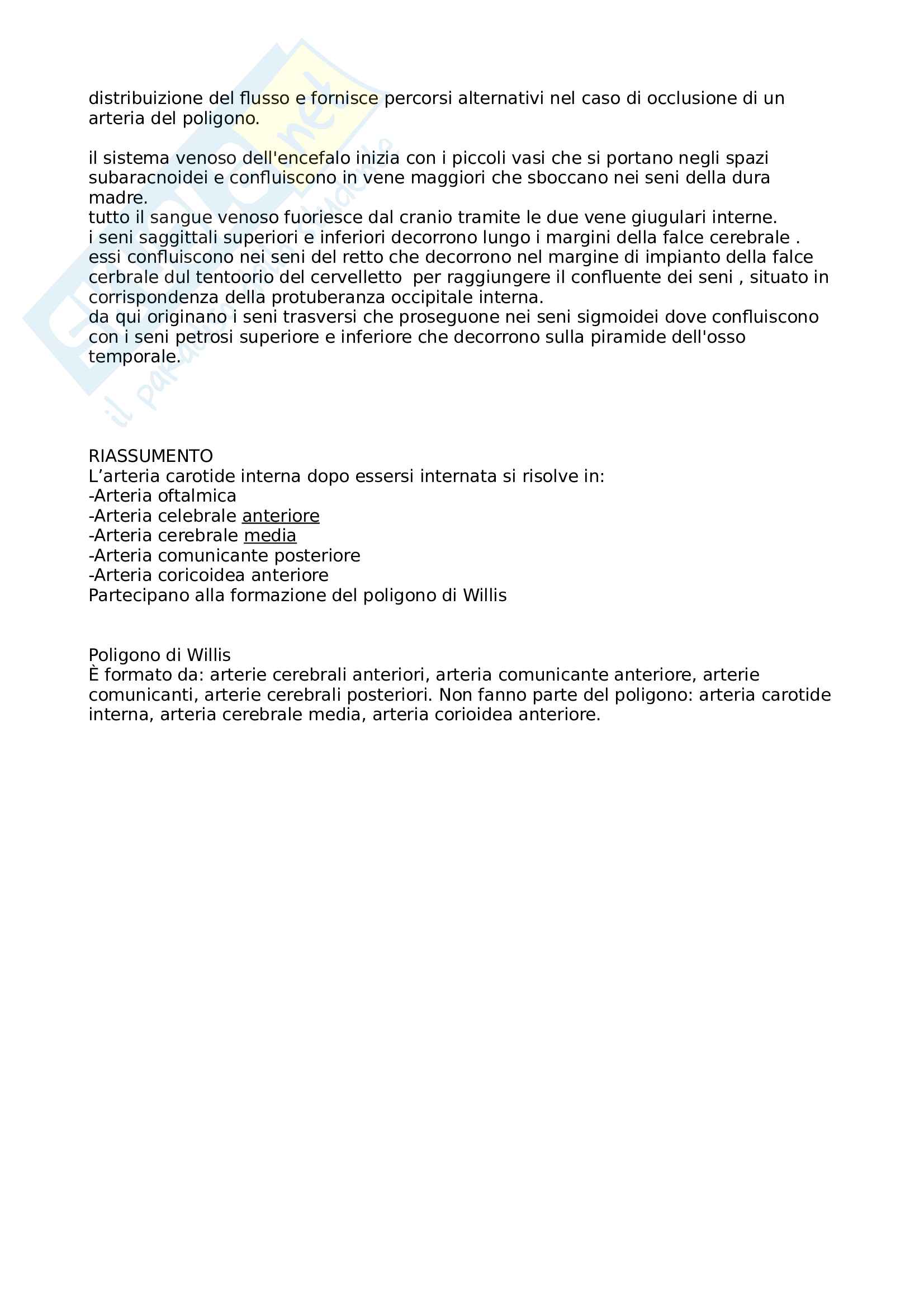 Sistema nervoso - approccio generale al sistema nervoso, con componenti e strutture correlate al contesto del sistema nervoso con accenni alla componente vascolare. Presenza all'interno del file di schemi e immagini illustrativi Pag. 16