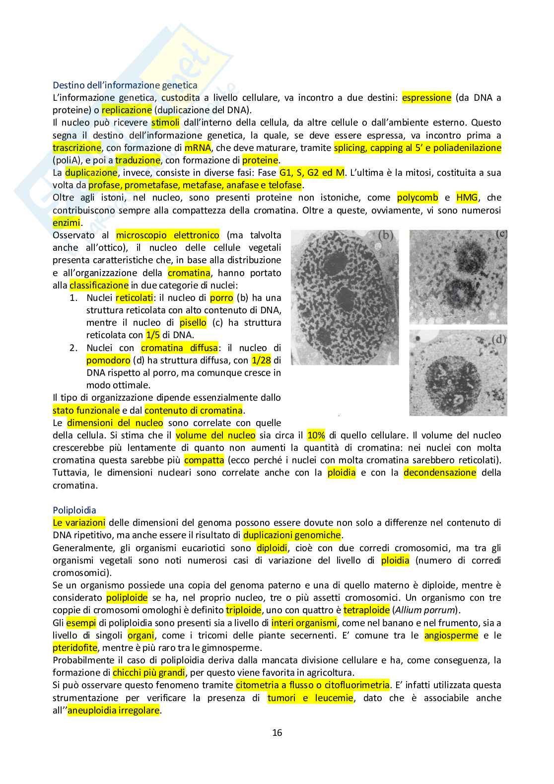 Appunti di Botanica generale Pag. 16