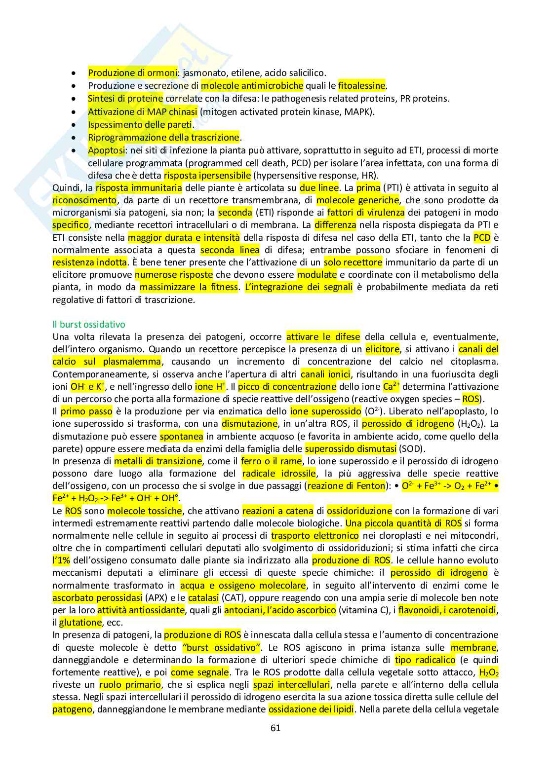 Appunti di Botanica generale Pag. 61
