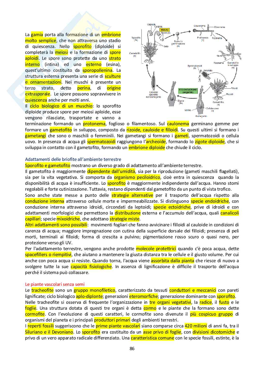 Appunti di Botanica generale Pag. 86