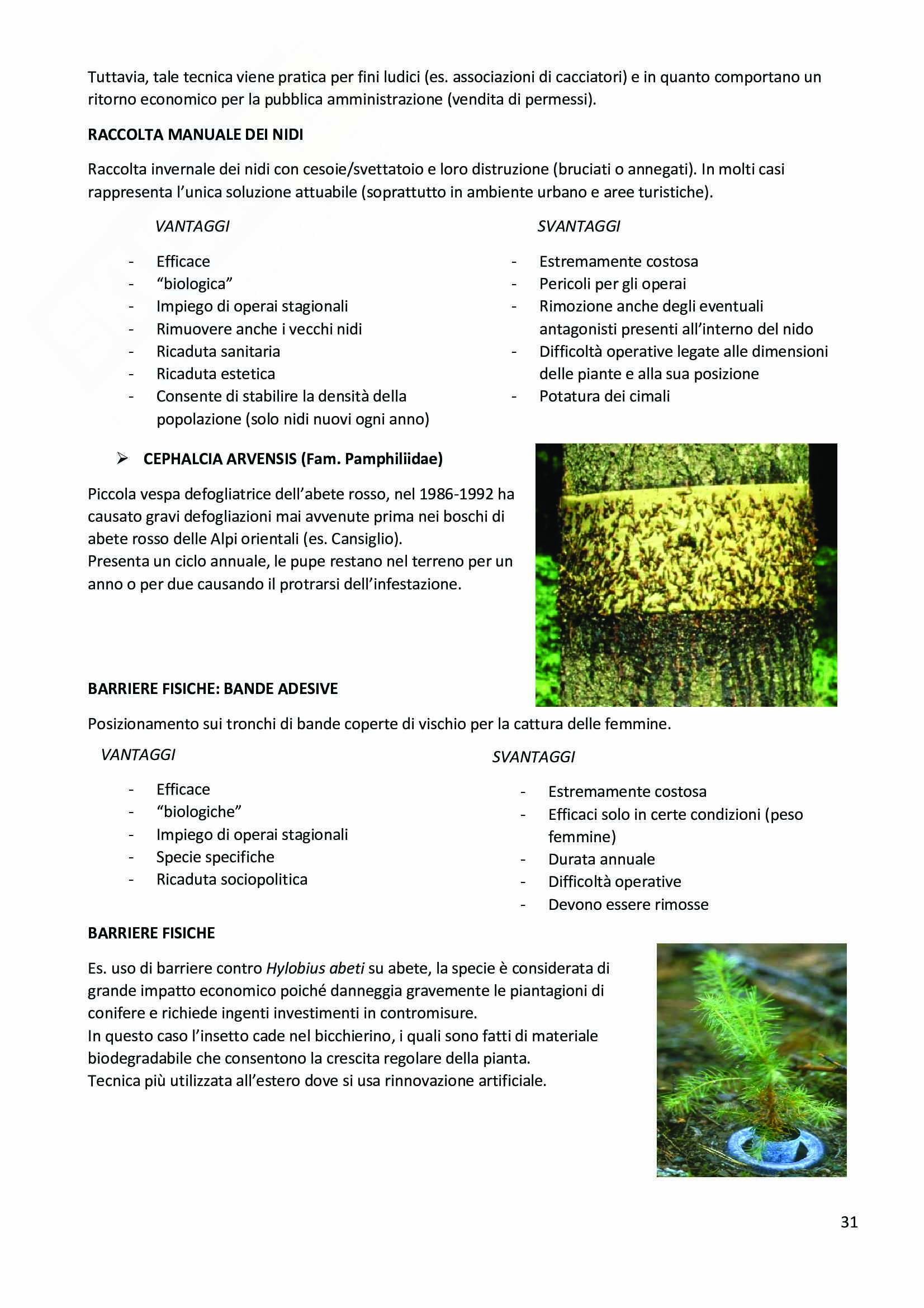 Zoologia applicata Pag. 31
