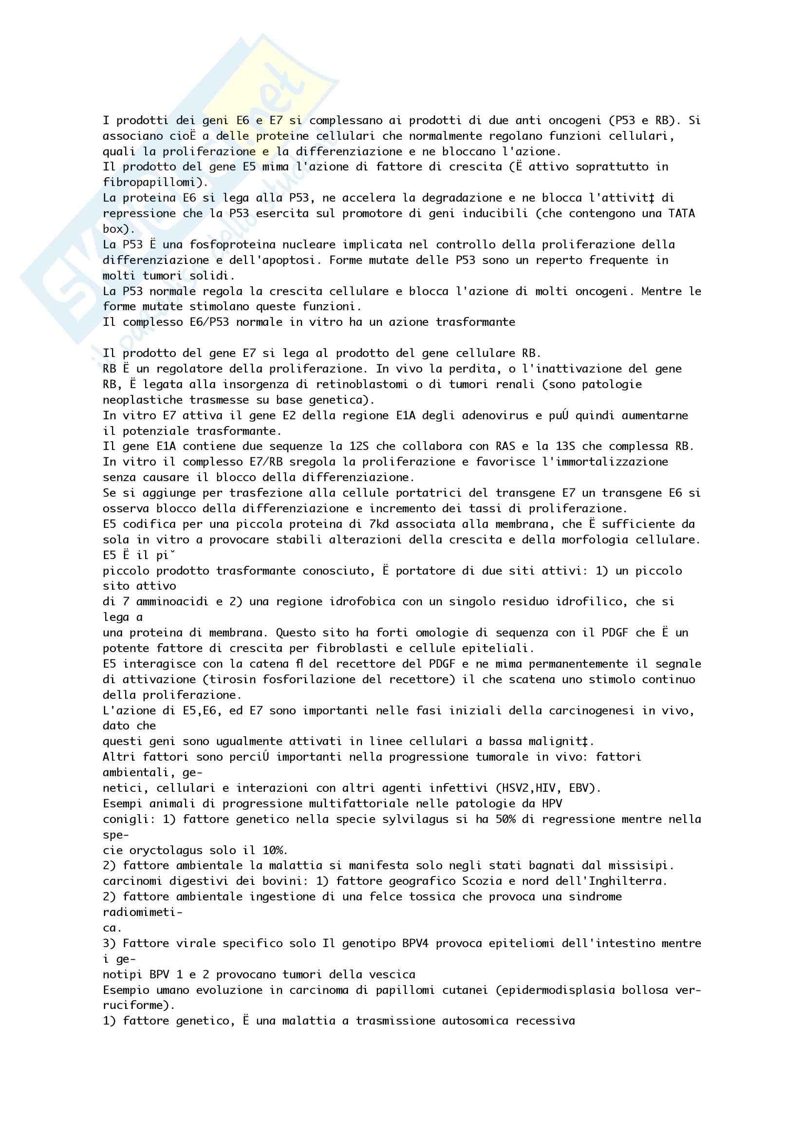 Microbiologia - nozioni generali - Appunti Pag. 6