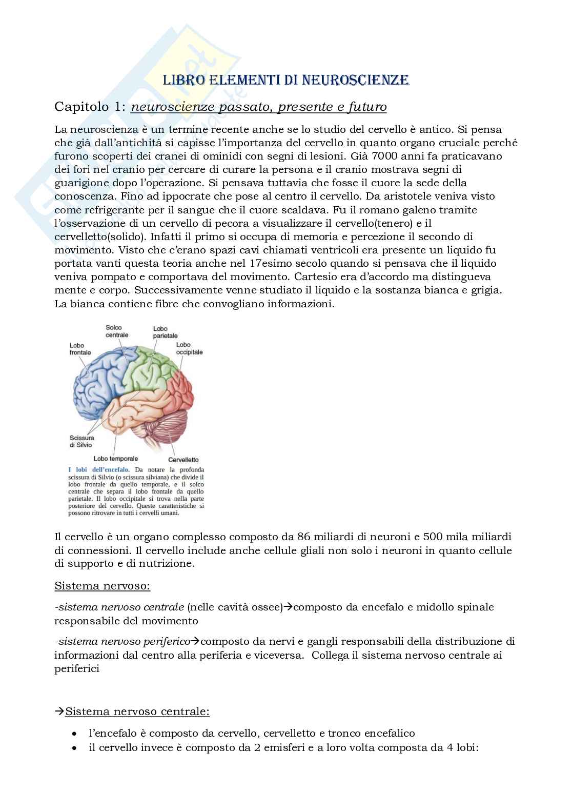 Prova parziale di Elementi di neuroscienze Pag. 1