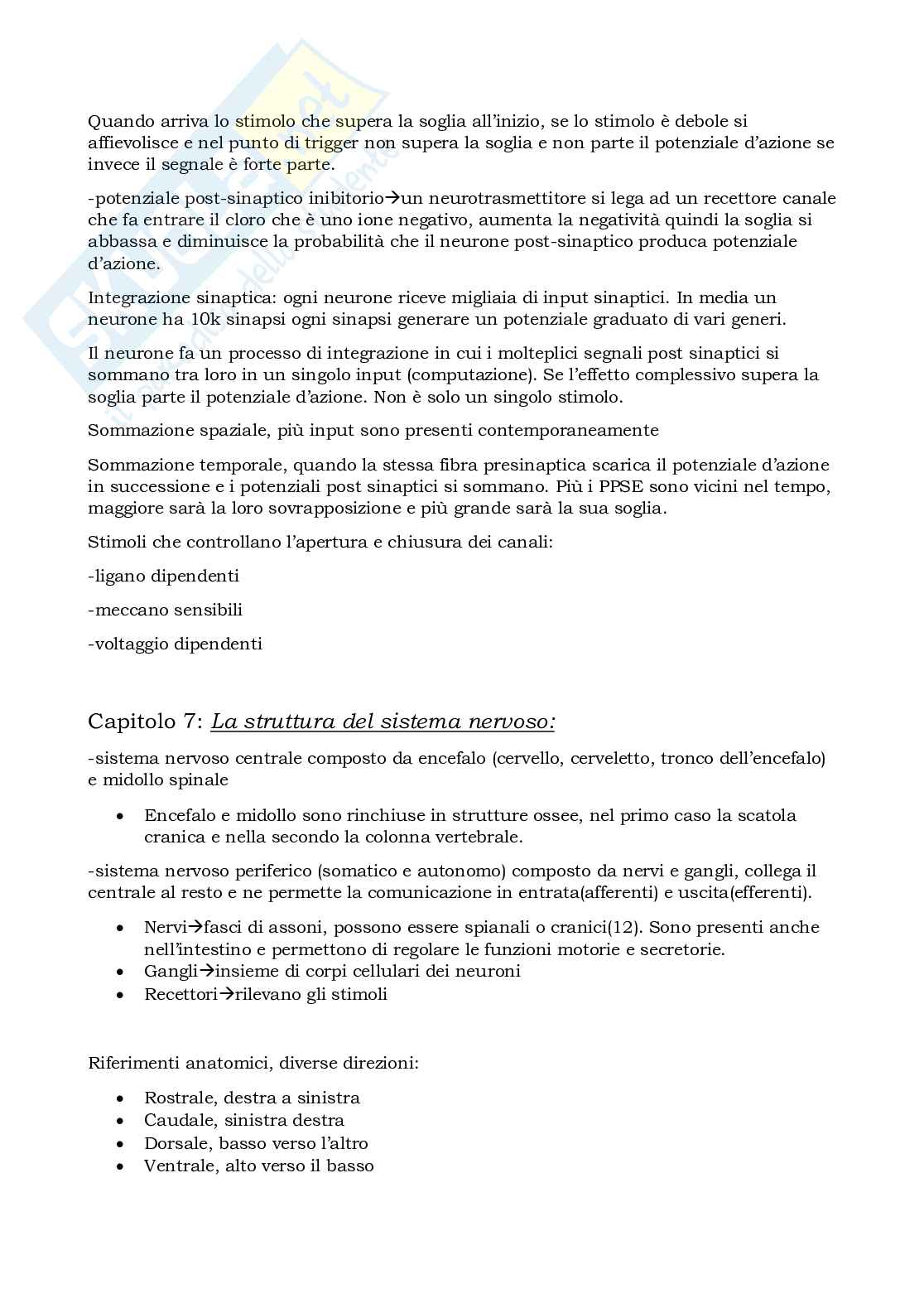 Prova parziale di Elementi di neuroscienze Pag. 16