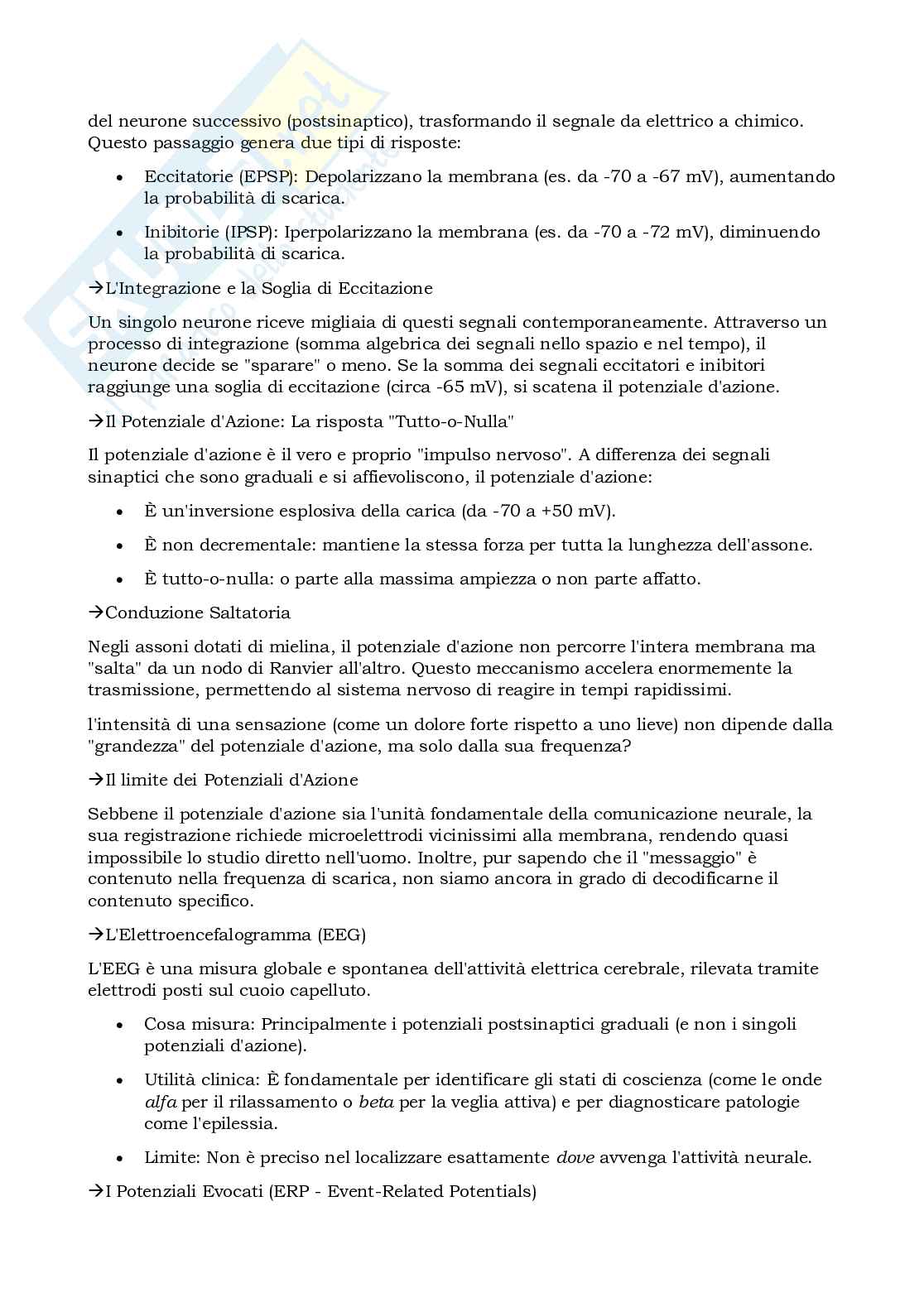 Prova parziale di Elementi di neuroscienze Pag. 21