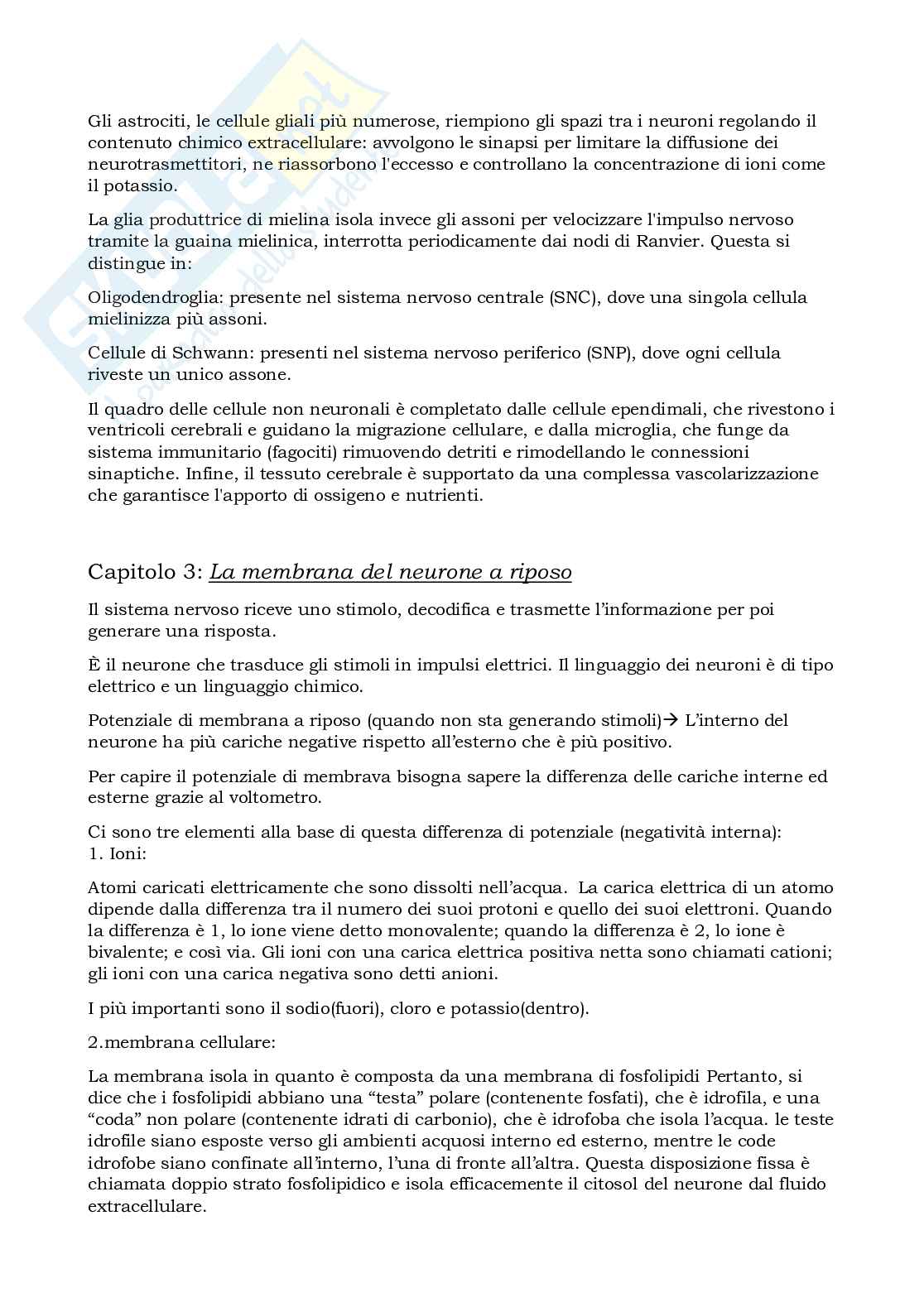 Prova parziale di Elementi di neuroscienze Pag. 6