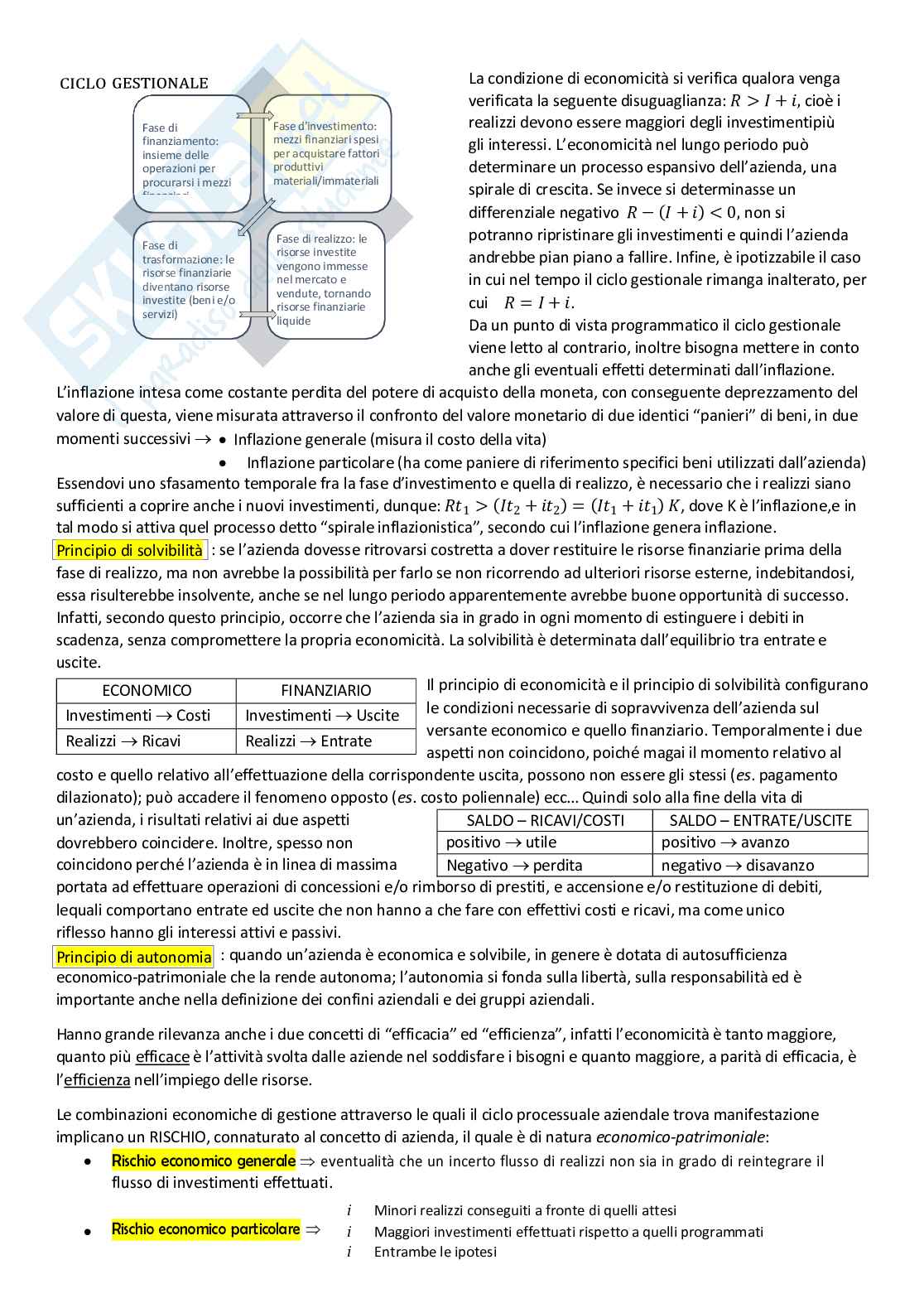 Appunti di Economia aziendale Pag. 2