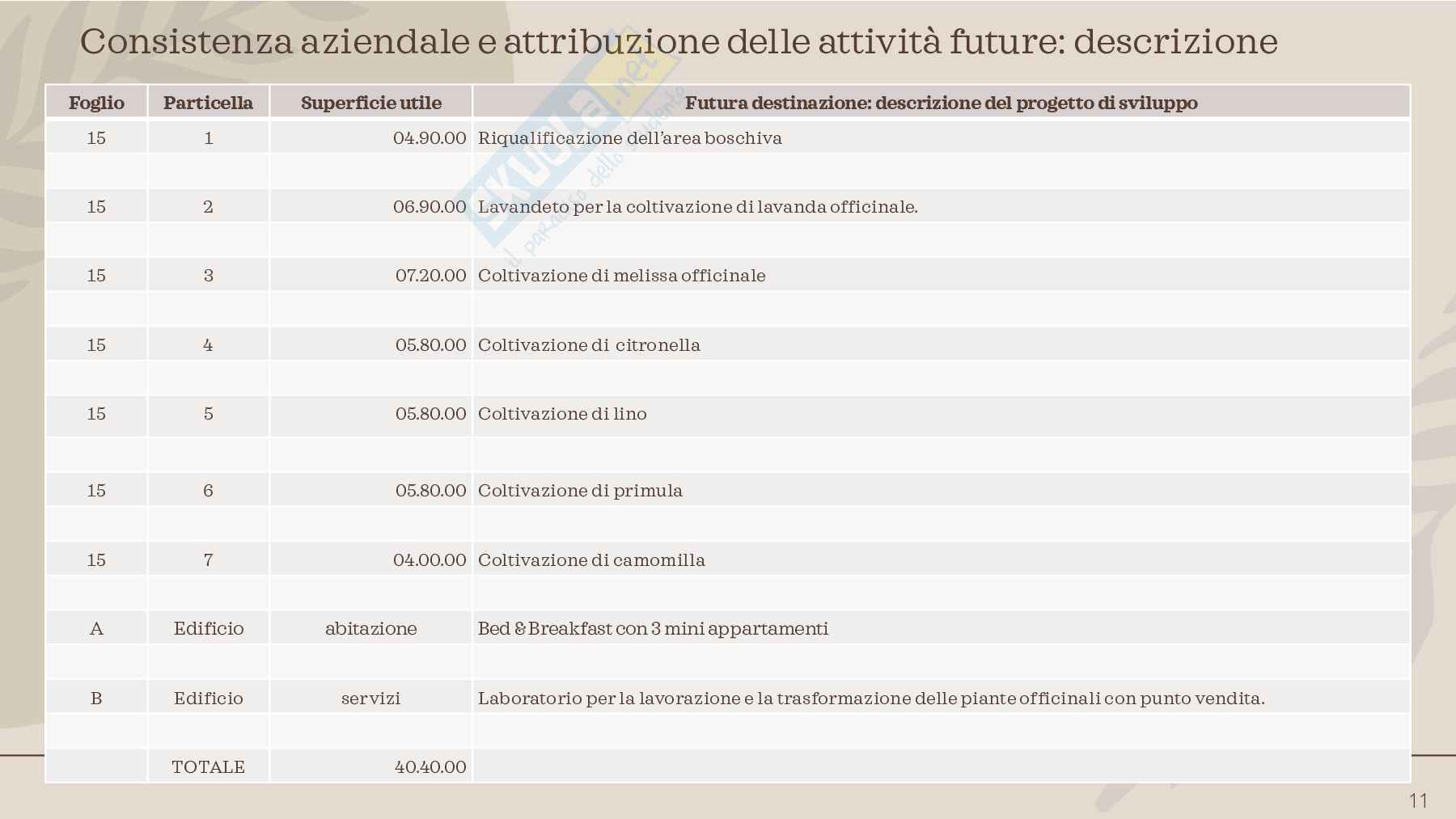 Slides esame Economia   Pag. 11