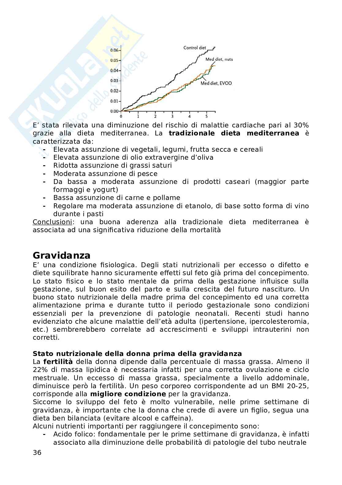 Riassunto "Nutrizione Applicata" Pag. 36