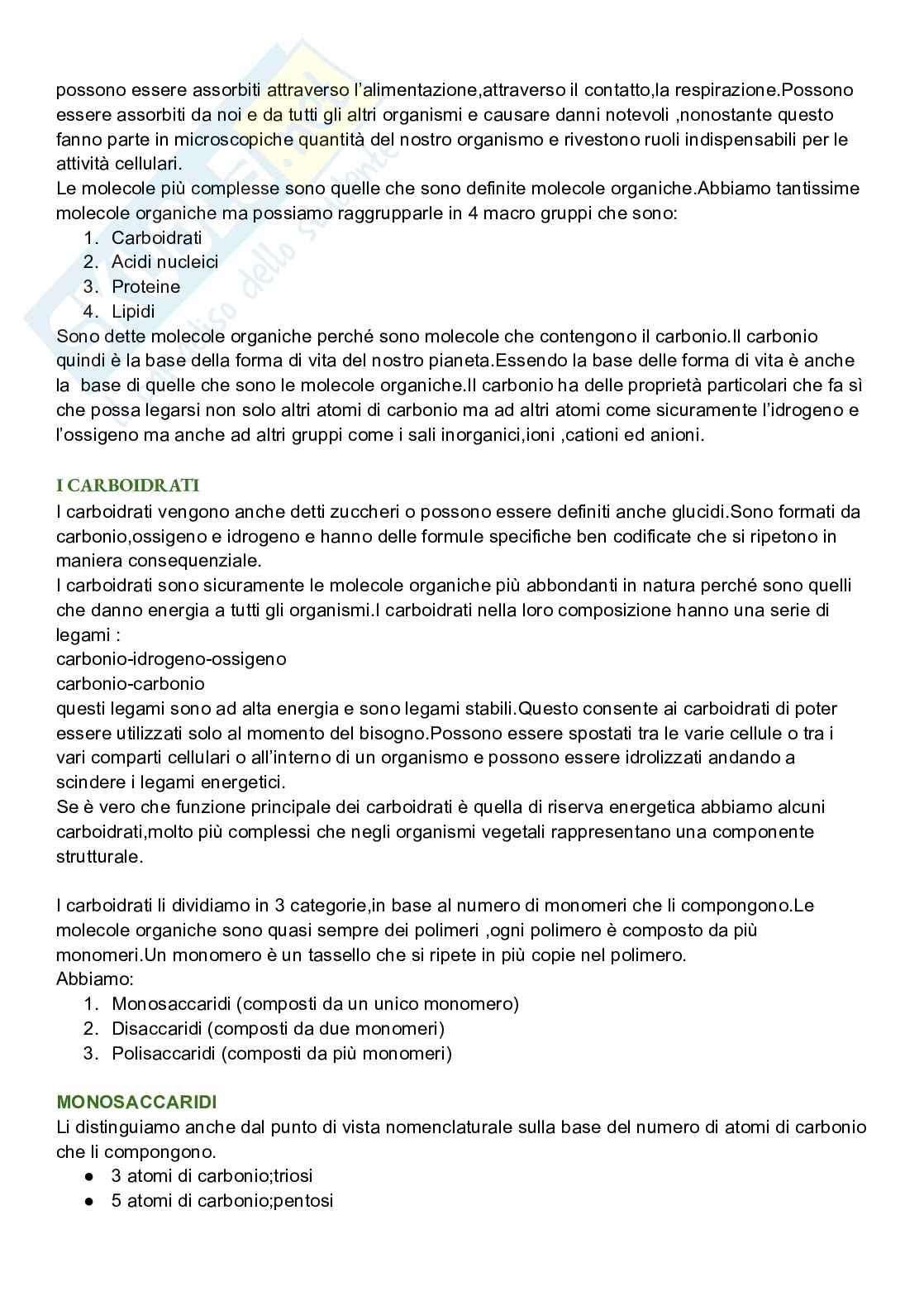 Riassunto esame Biologia cellulare, Prof. De Nisco Alessandro, libro consigliato Biologia sistematica vegetale , Zanichelli  Pag. 2
