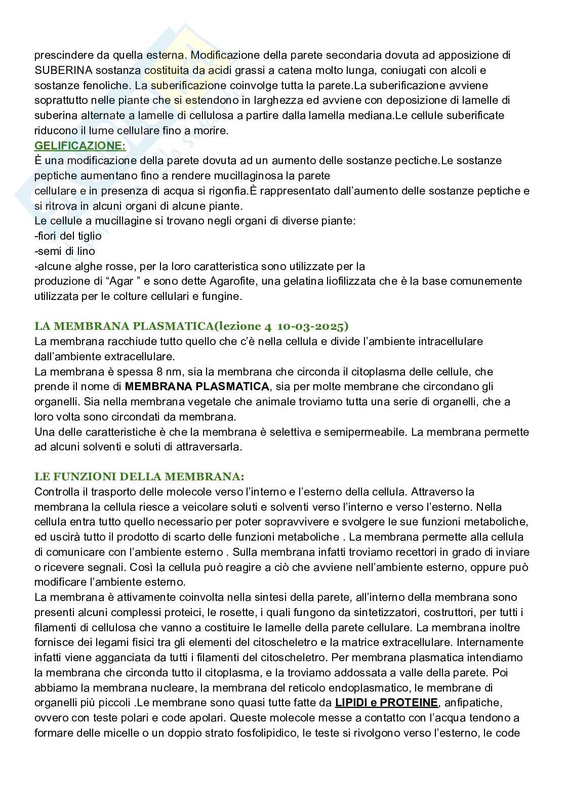 Riassunto esame Biologia cellulare, Prof. De Nisco Alessandro, libro consigliato Biologia sistematica vegetale , Zanichelli  Pag. 26