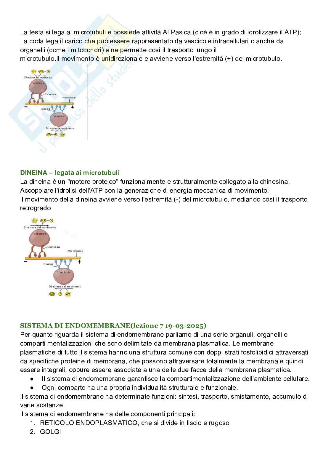 Riassunto esame Biologia cellulare, Prof. De Nisco Alessandro, libro consigliato Biologia sistematica vegetale , Zanichelli  Pag. 36