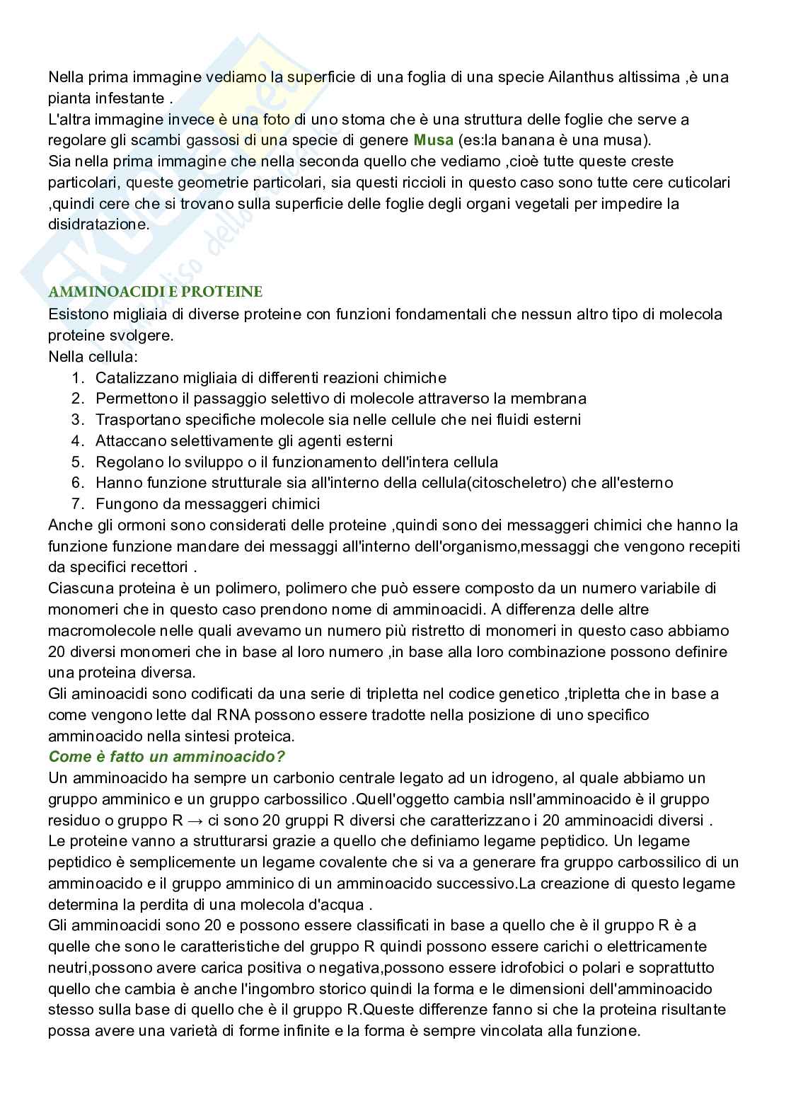 Riassunto esame Biologia cellulare, Prof. De Nisco Alessandro, libro consigliato Biologia sistematica vegetale , Zanichelli  Pag. 6