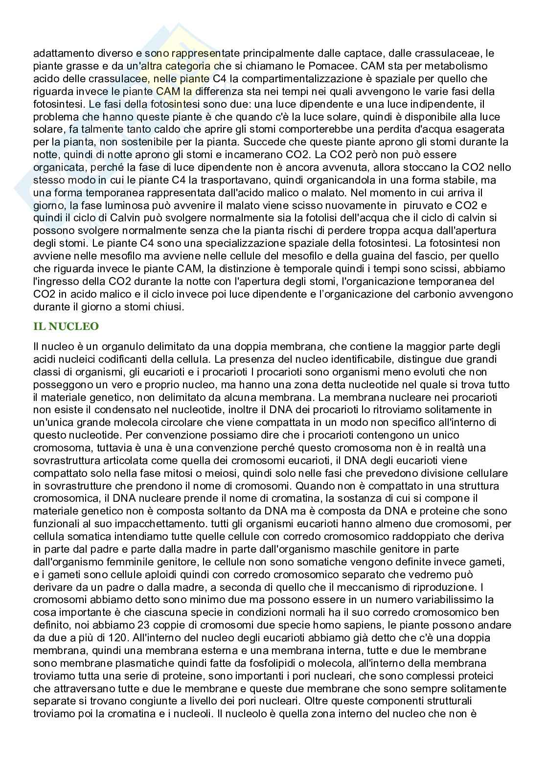 Riassunto esame Biologia cellulare, Prof. De Nisco Alessandro, libro consigliato Biologia sistematica vegetale , Zanichelli  Pag. 76
