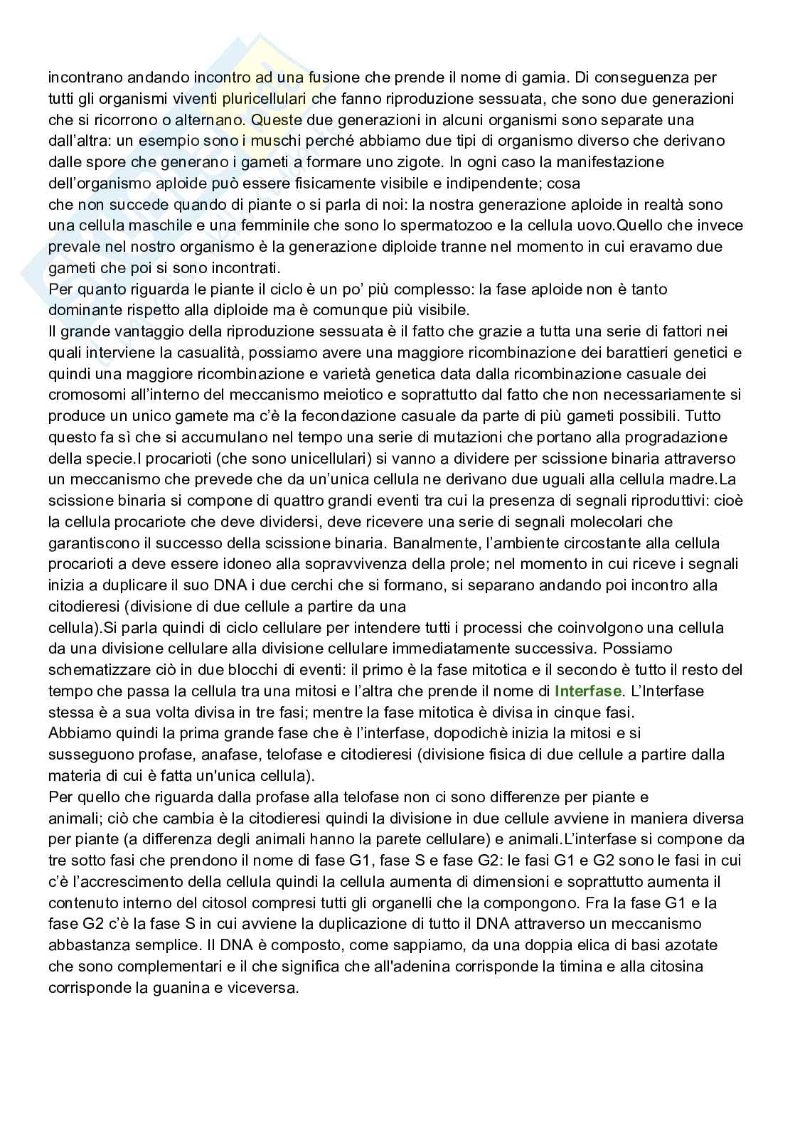 Riassunto esame Biologia cellulare, Prof. De Nisco Alessandro, libro consigliato Biologia sistematica vegetale , Zanichelli  Pag. 81