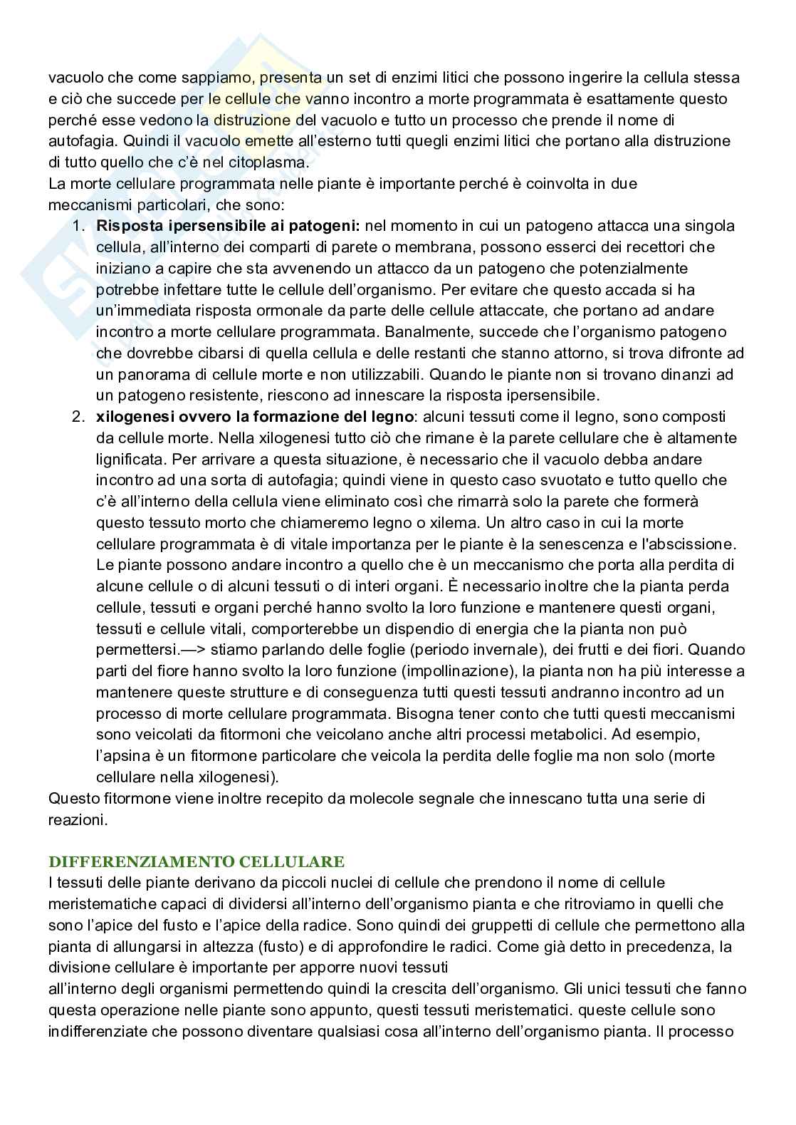Riassunto esame Biologia cellulare, Prof. De Nisco Alessandro, libro consigliato Biologia sistematica vegetale , Zanichelli  Pag. 86