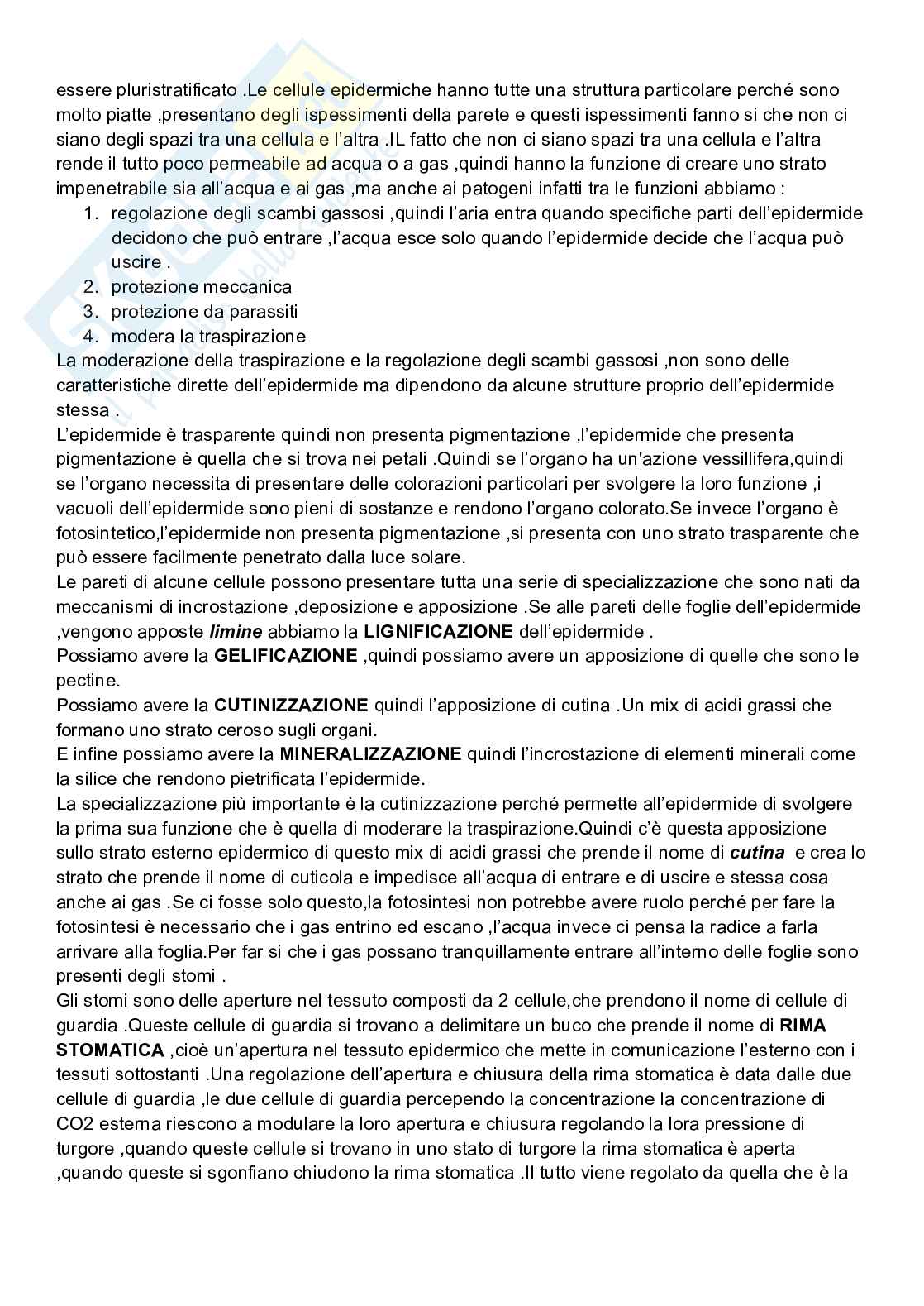 Riassunto esame Biologia cellulare, Prof. De Nisco Alessandro, libro consigliato Biologia sistematica vegetale , Zanichelli  Pag. 91