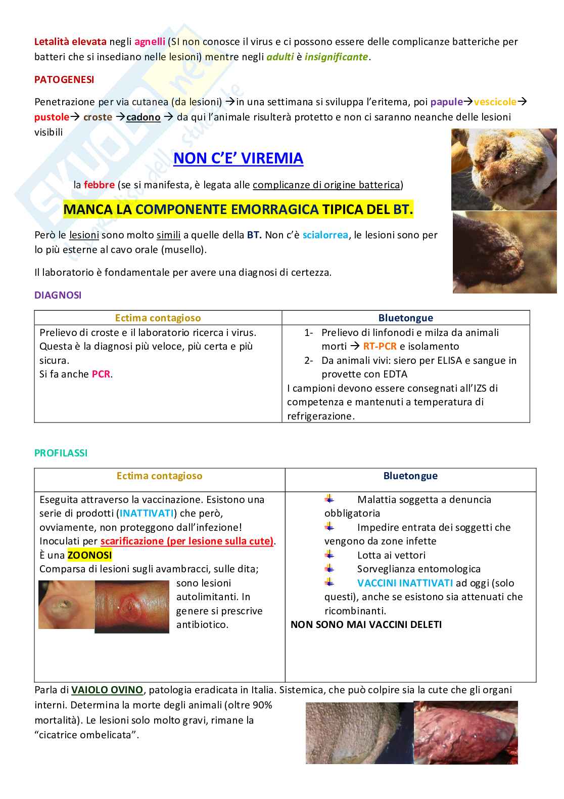3 Parziale Malattie Infettive 2 Pag. 16
