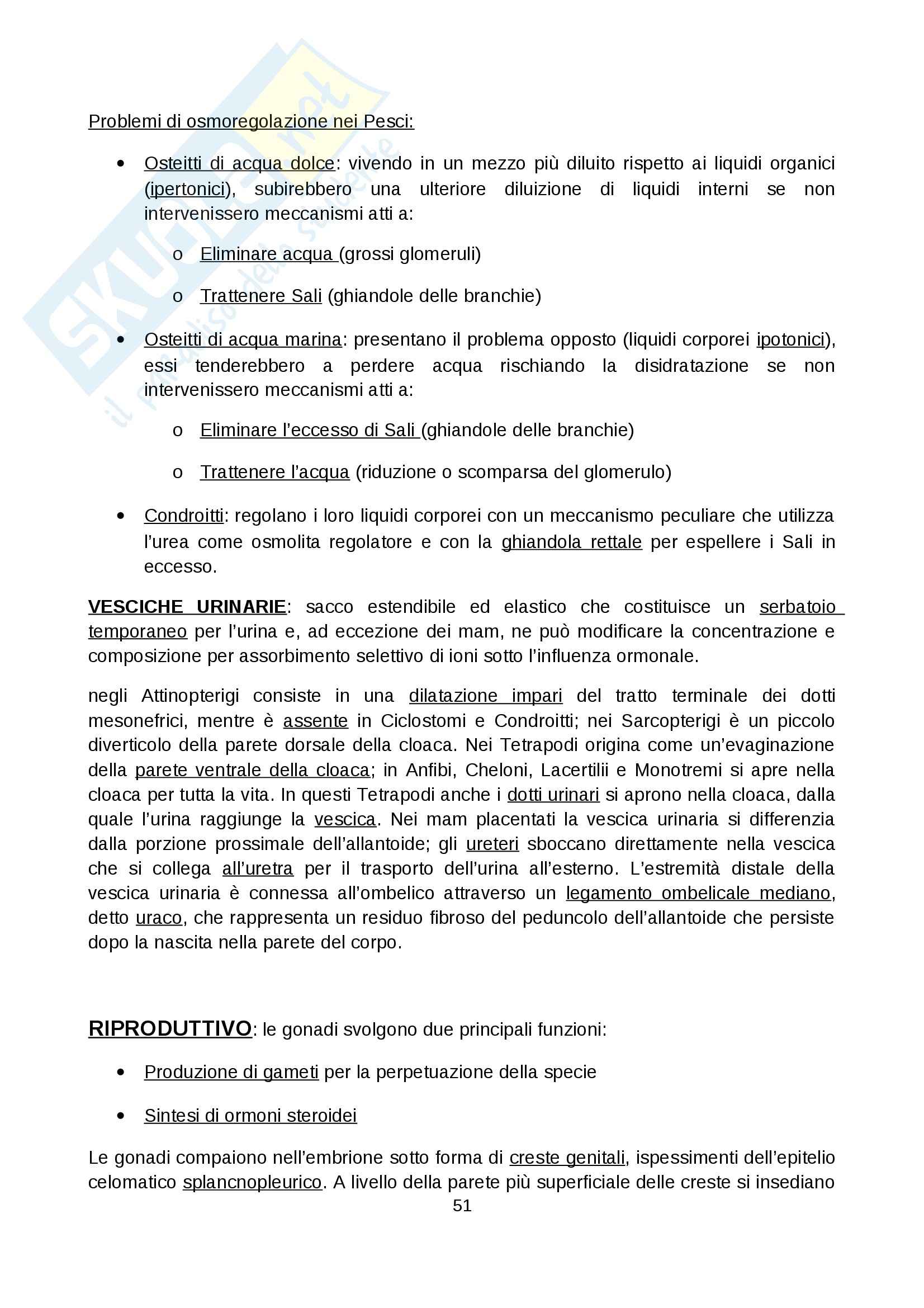 Anatomia comparata - embriologia Pag. 51