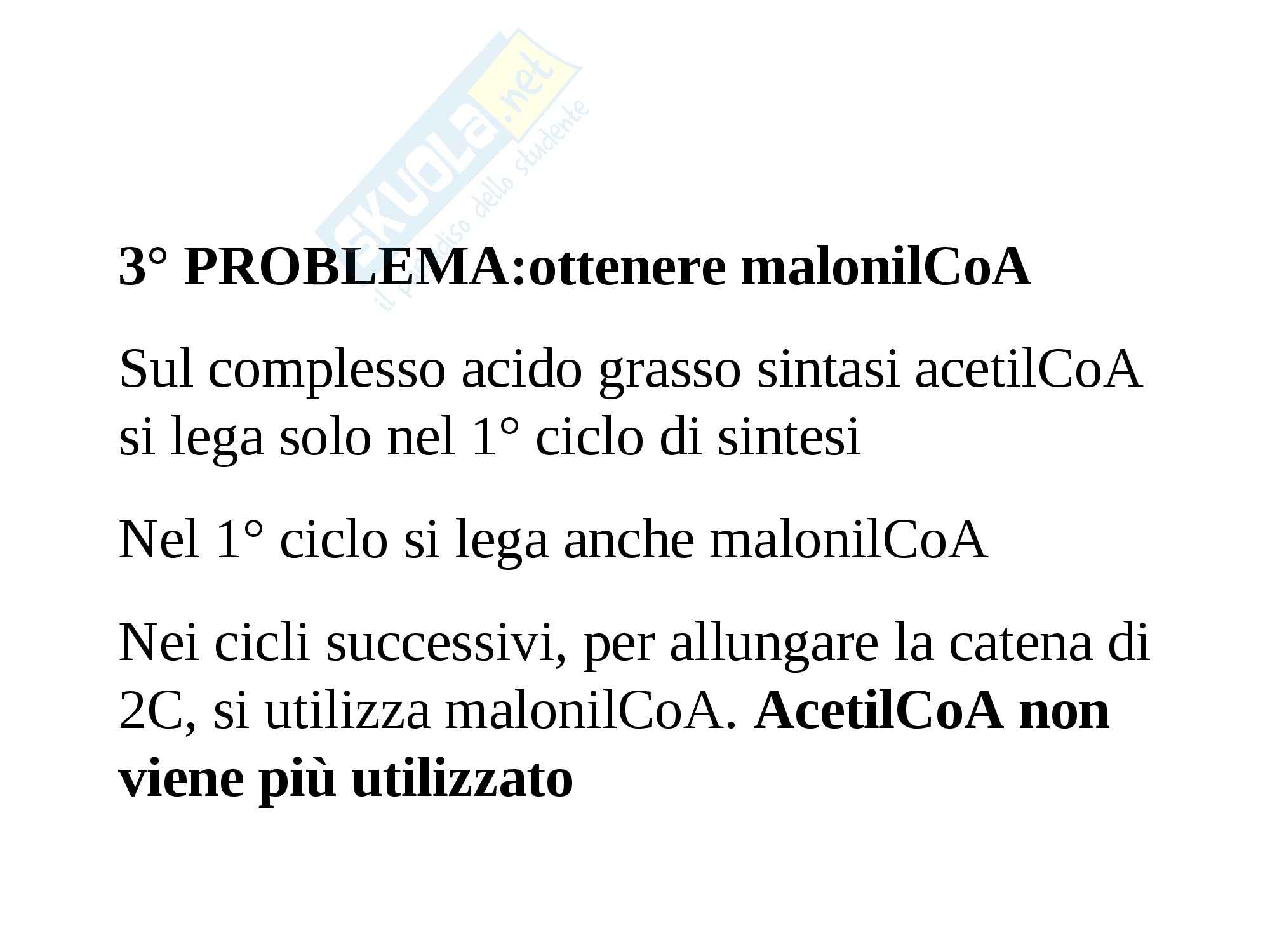 Biochimica - metabolismo lipidico Pag. 66