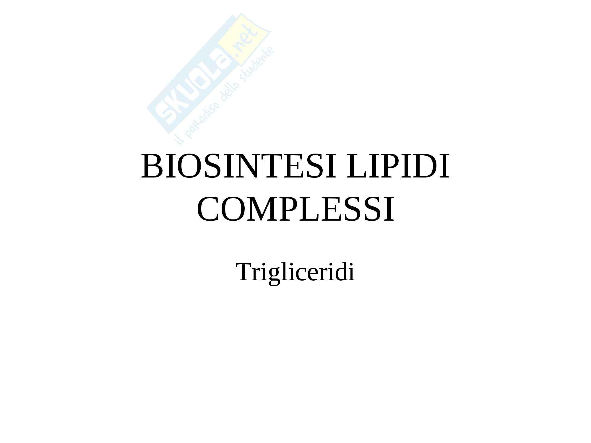 Biochimica - metabolismo lipidico Pag. 91